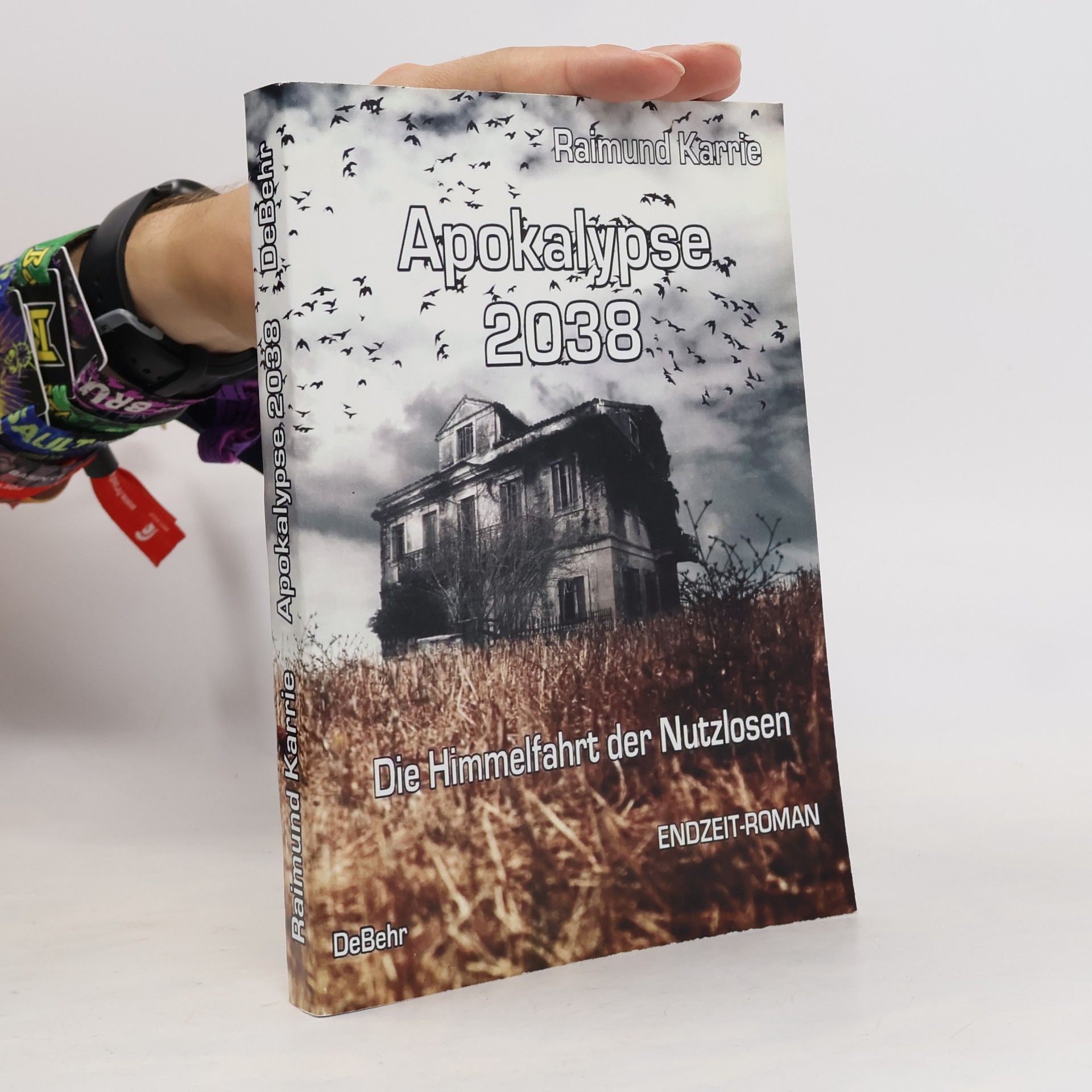 Raimund Karrie Apokalypse 2038