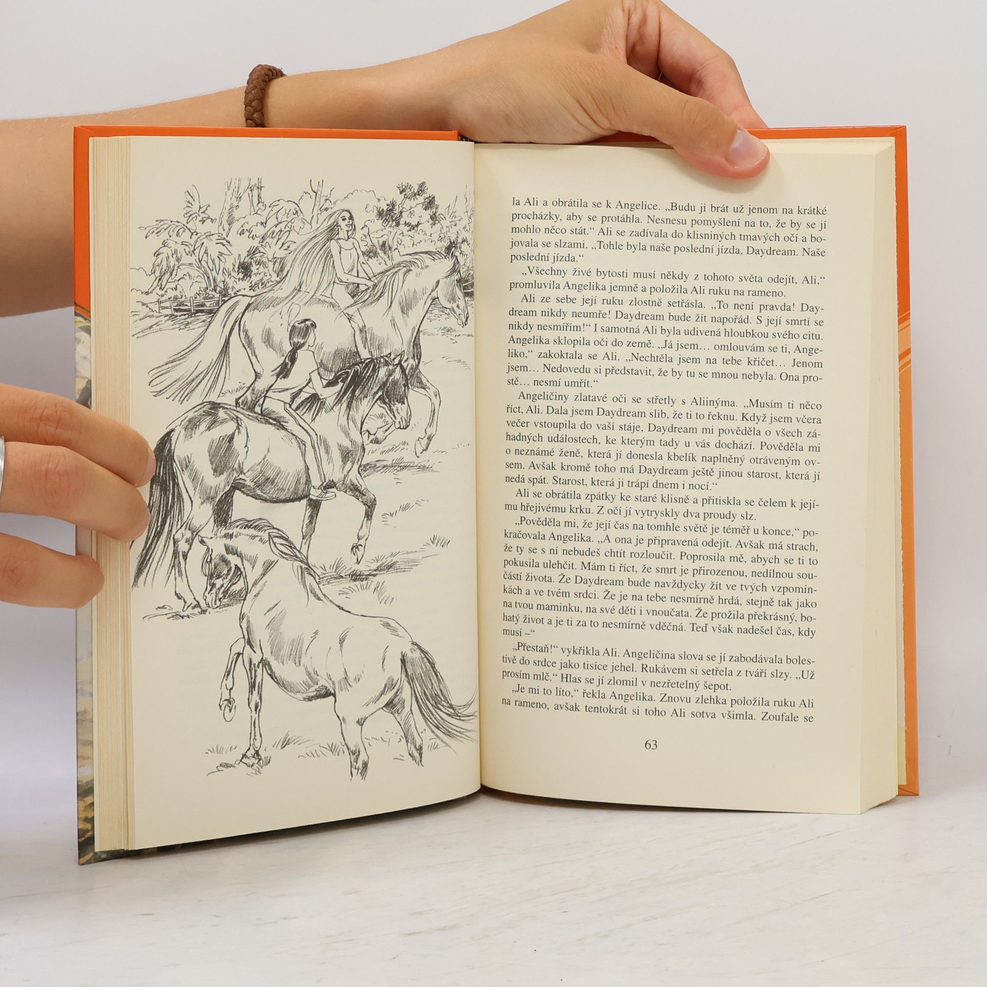 Angela Dorsey Dravý proud