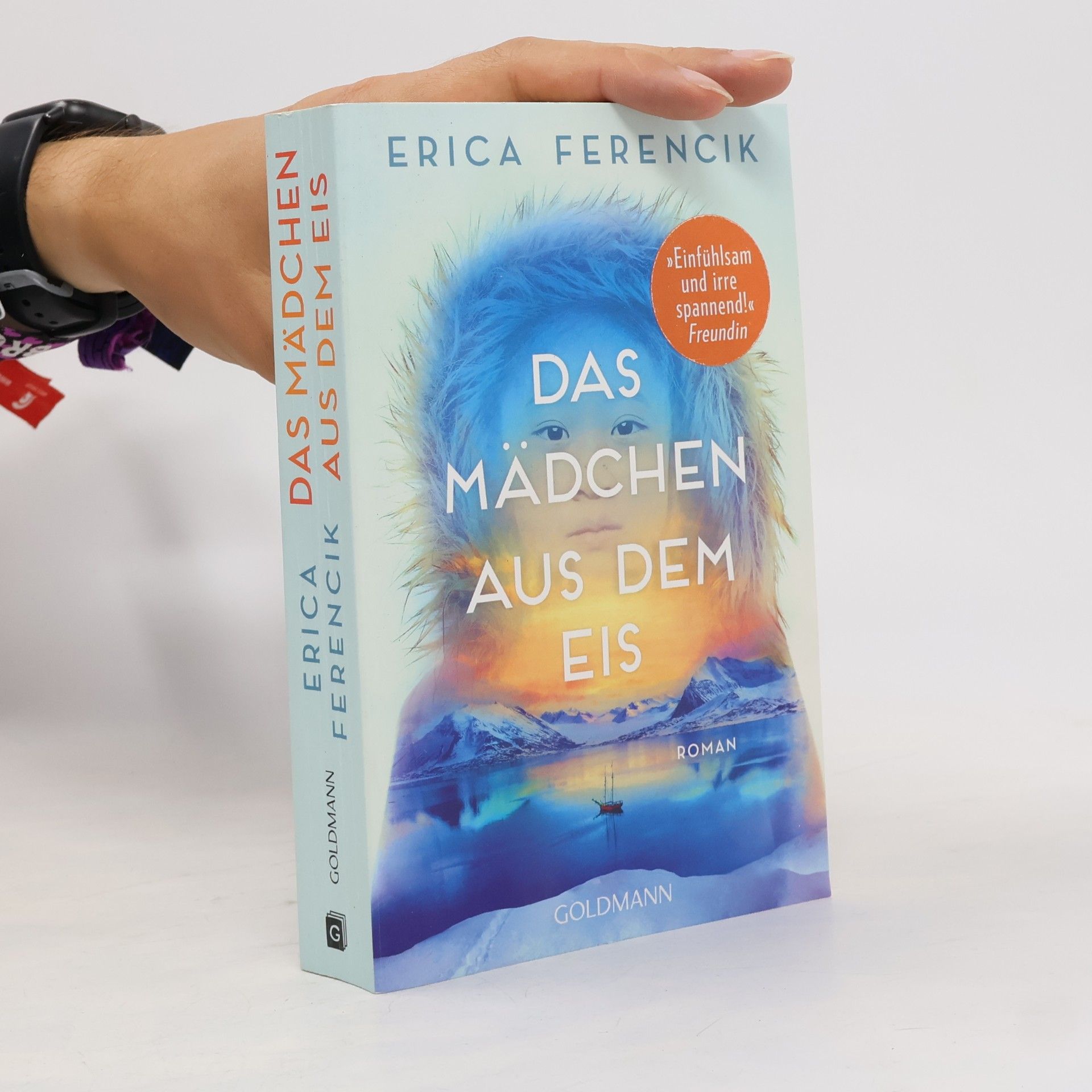 Erica Ferencik Das Mädchen aus dem Eis