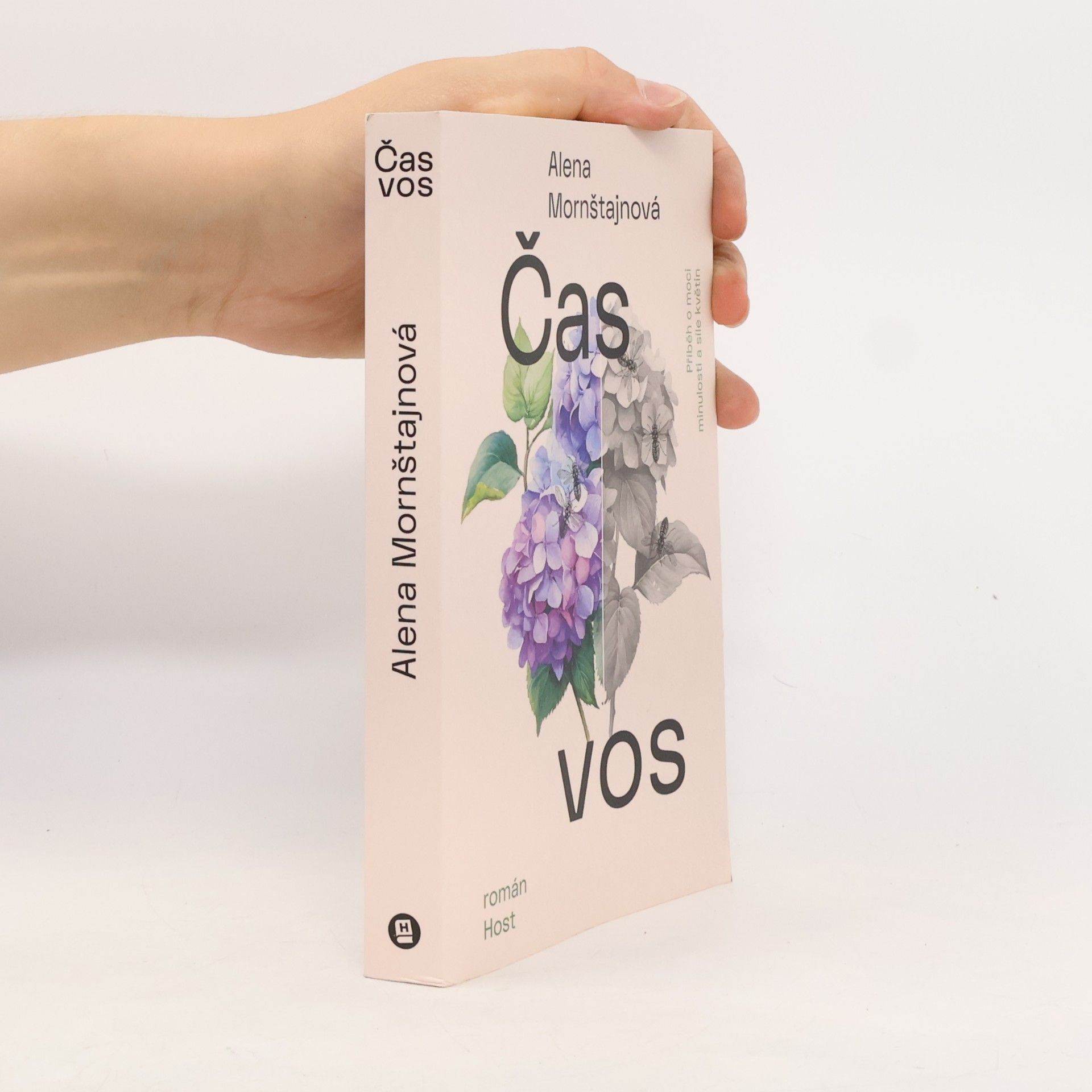 Alena Mornštajnová Čas vos