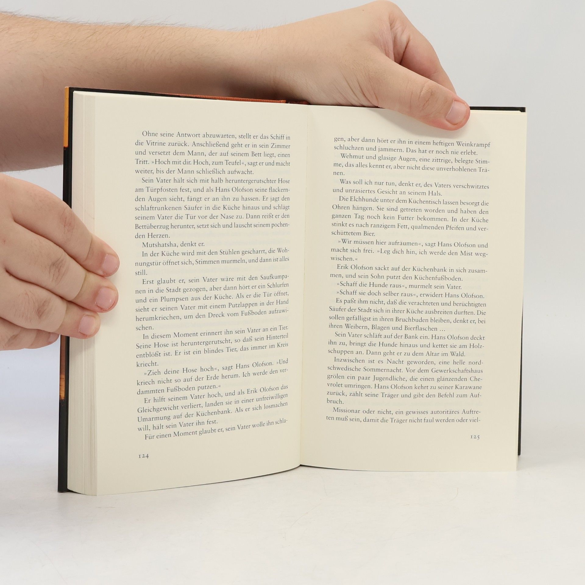 Henning Mankell Das Auge des Leoparden