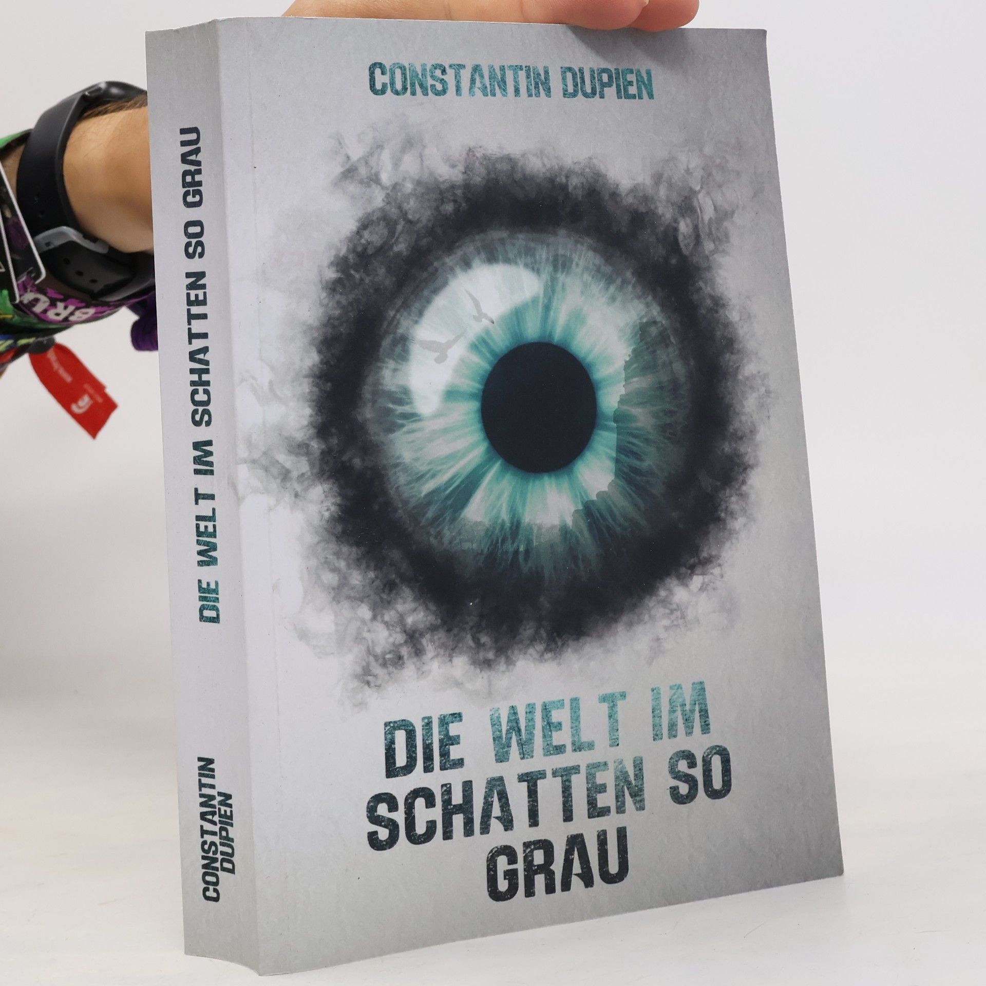 Die Welt im Schatten so Grau