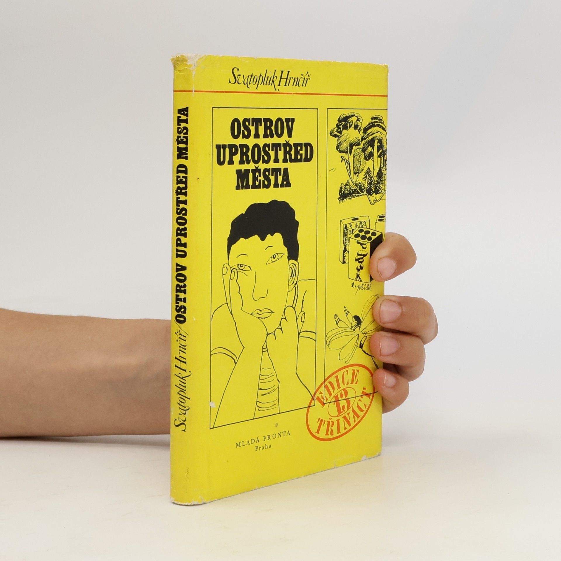 Ostrov uprostřed města