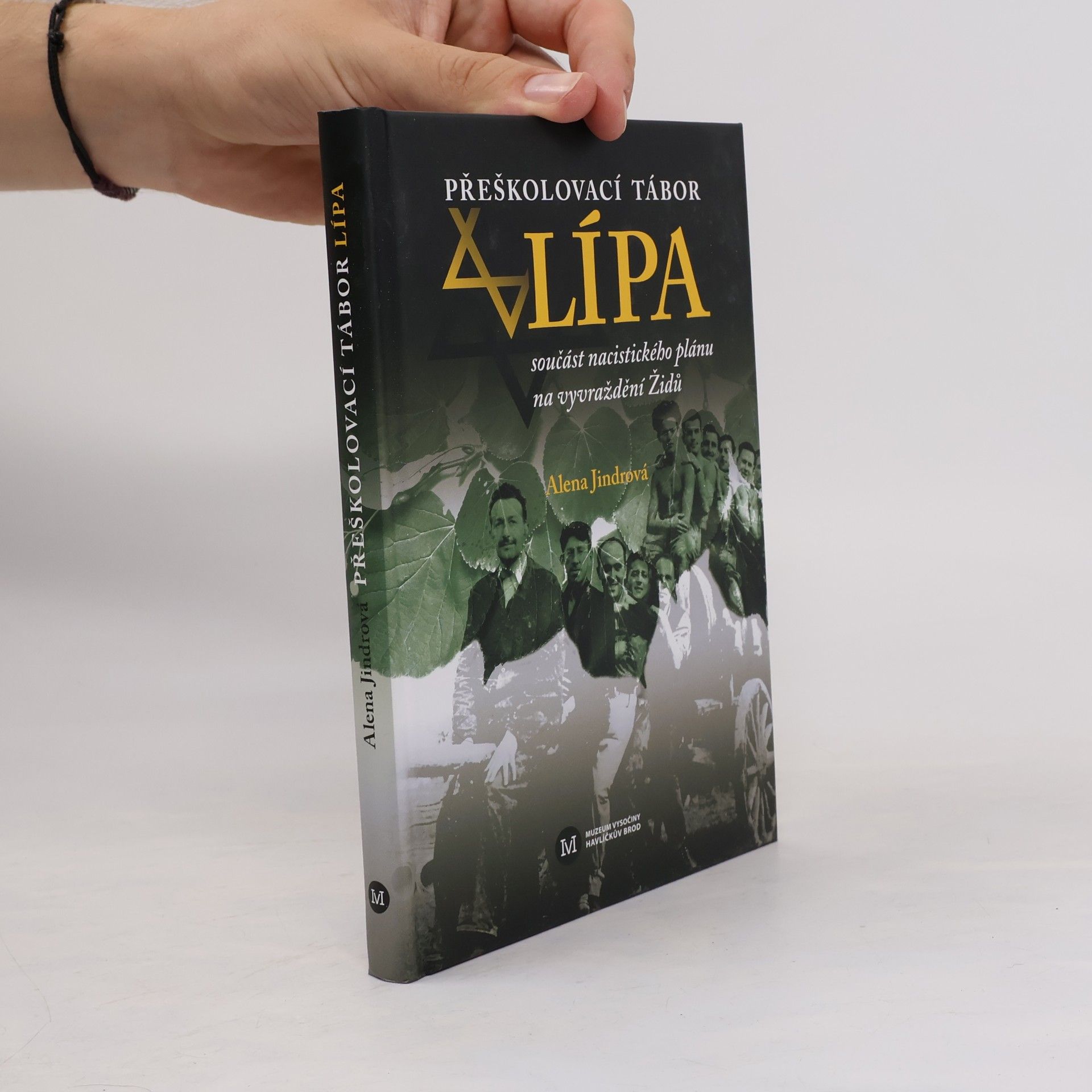 Alena Jindrová Přeškolovací tábor Lípa