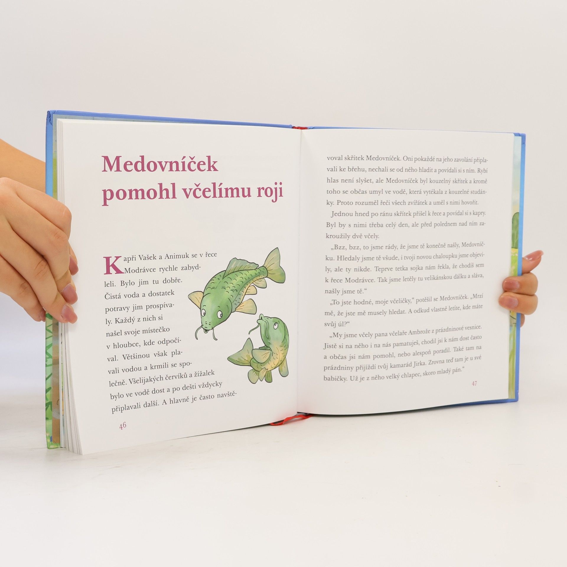 Jan Lebeda Medovníček a řeka Modrávka