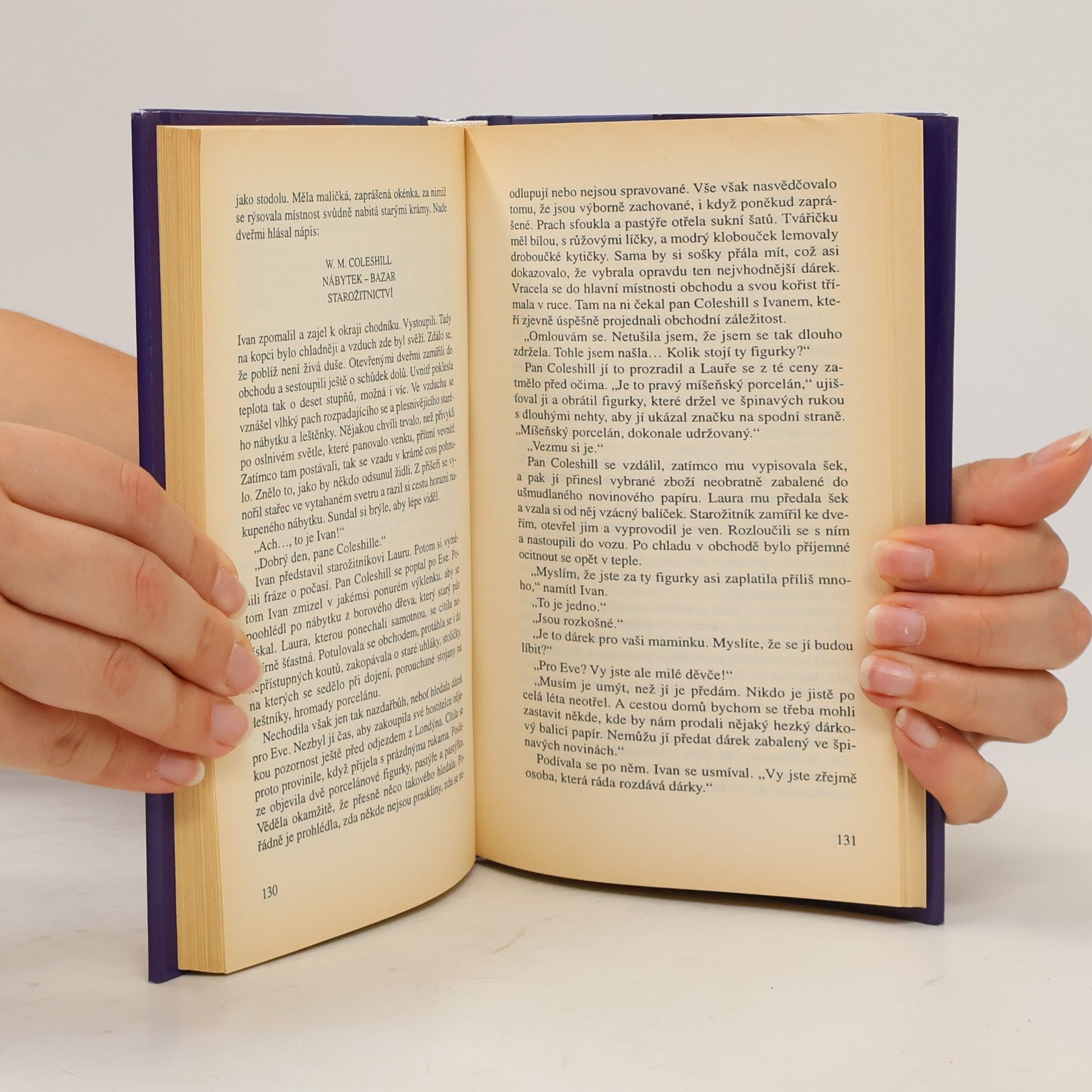 Rosamunde Pilcher Letní hlasy