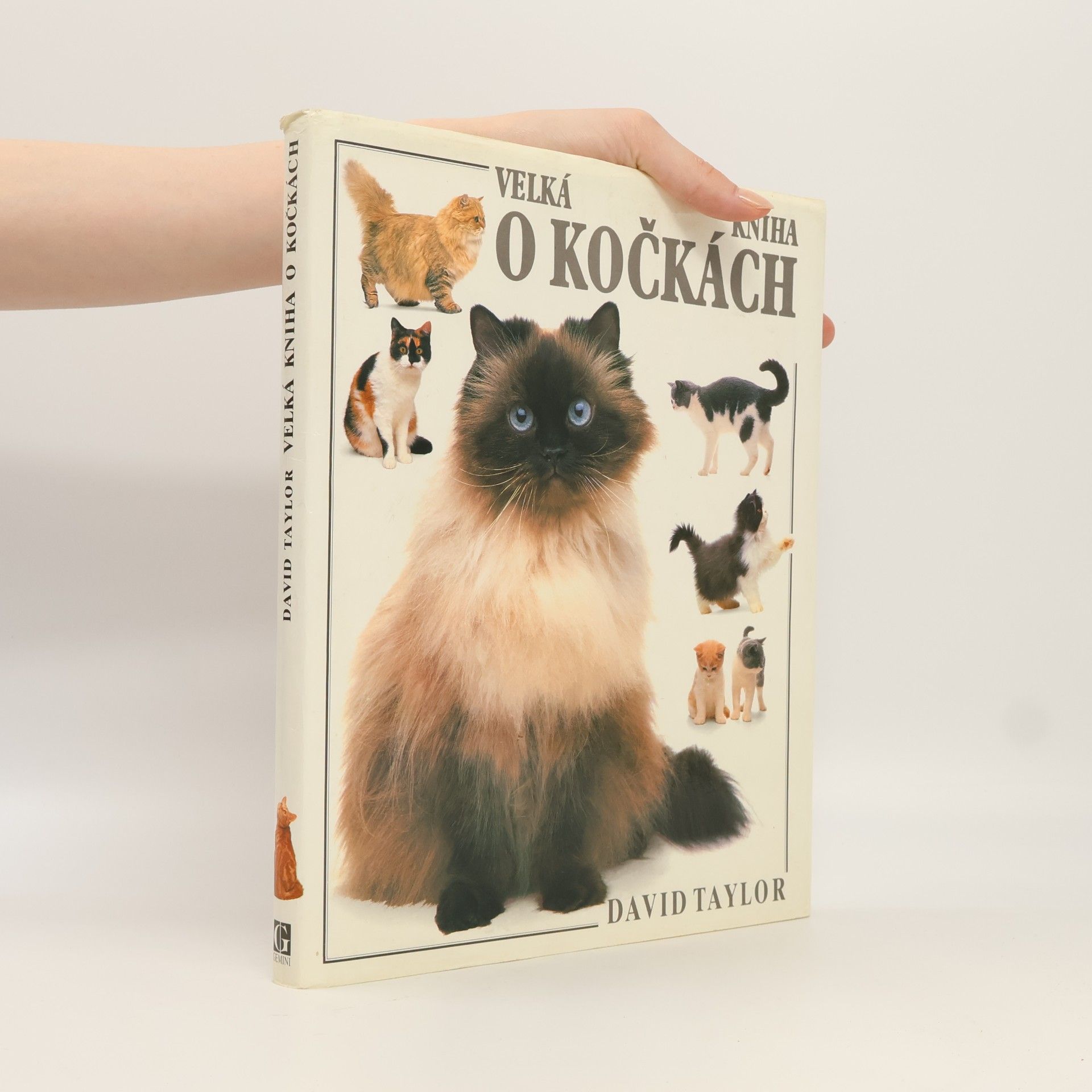 David Conrad Taylor Velká kniha o kočkách