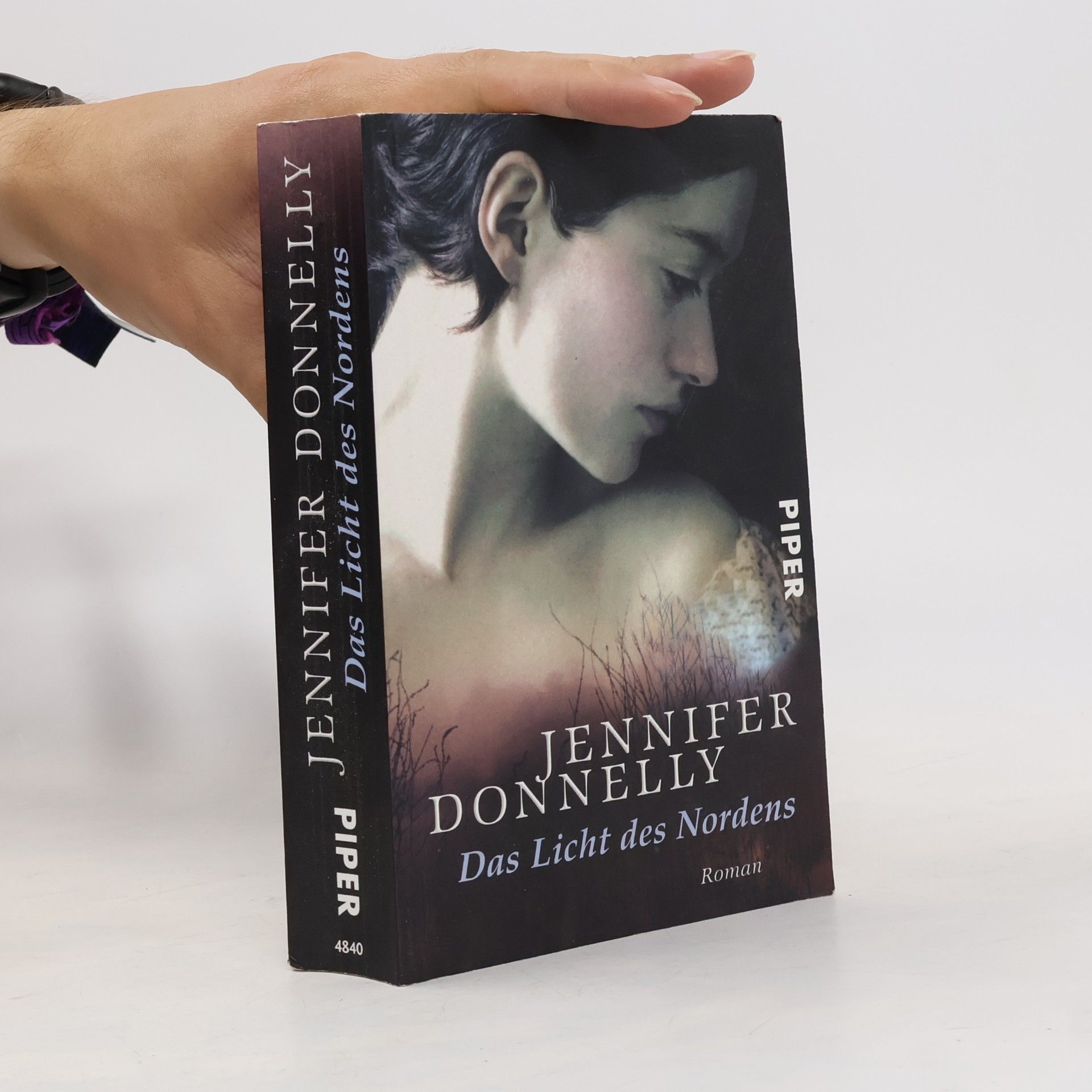 Jennifer Donnelly Das Licht des Nordens