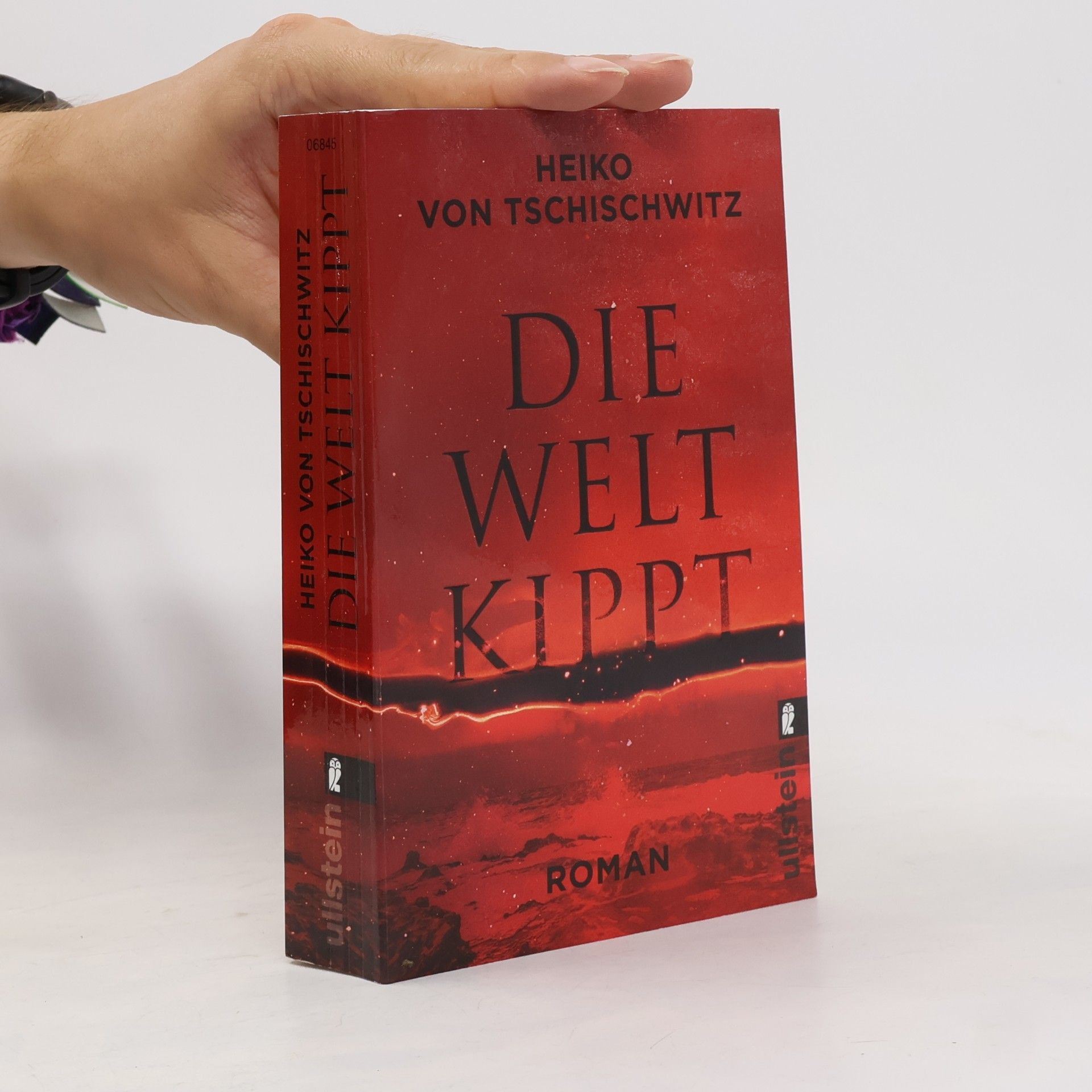 Heiko von Tschischwitz Die Welt kippt