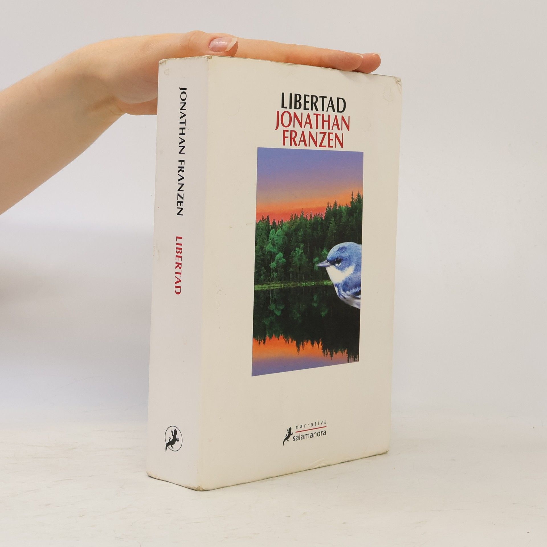 Jonathan Franzen Libertad