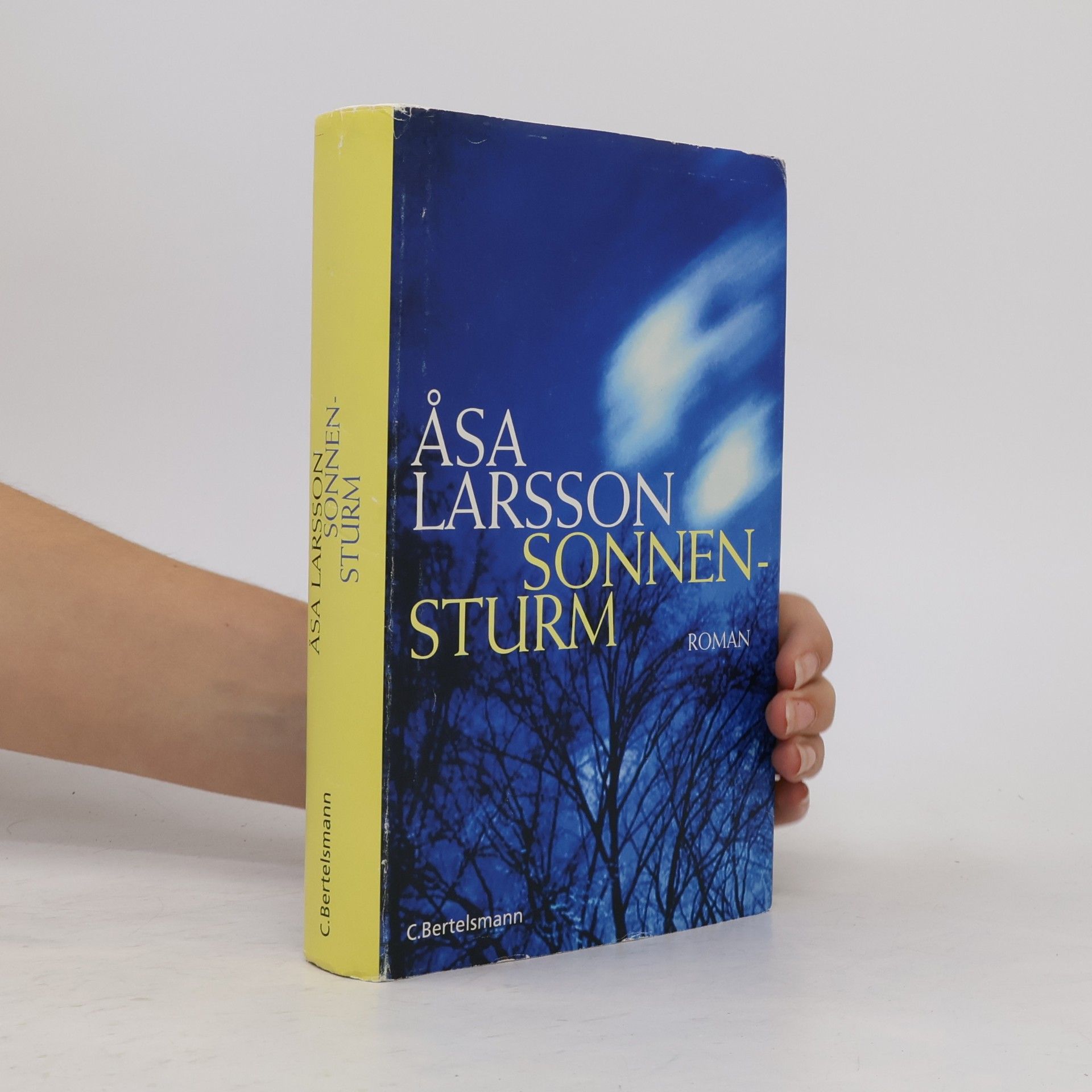Åsa Larsson Sonnensturm