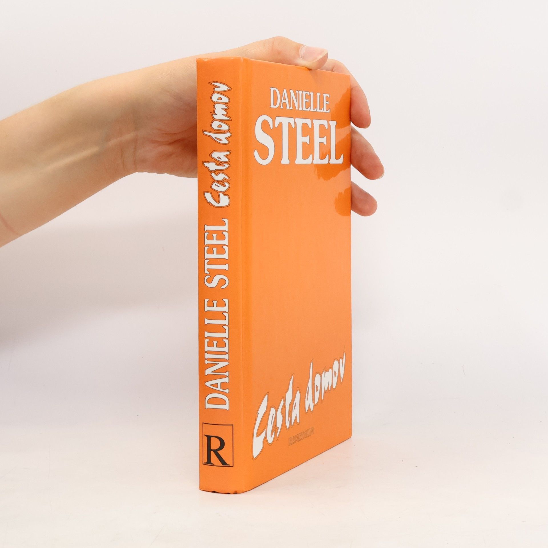 Danielle Steel Cesta domov