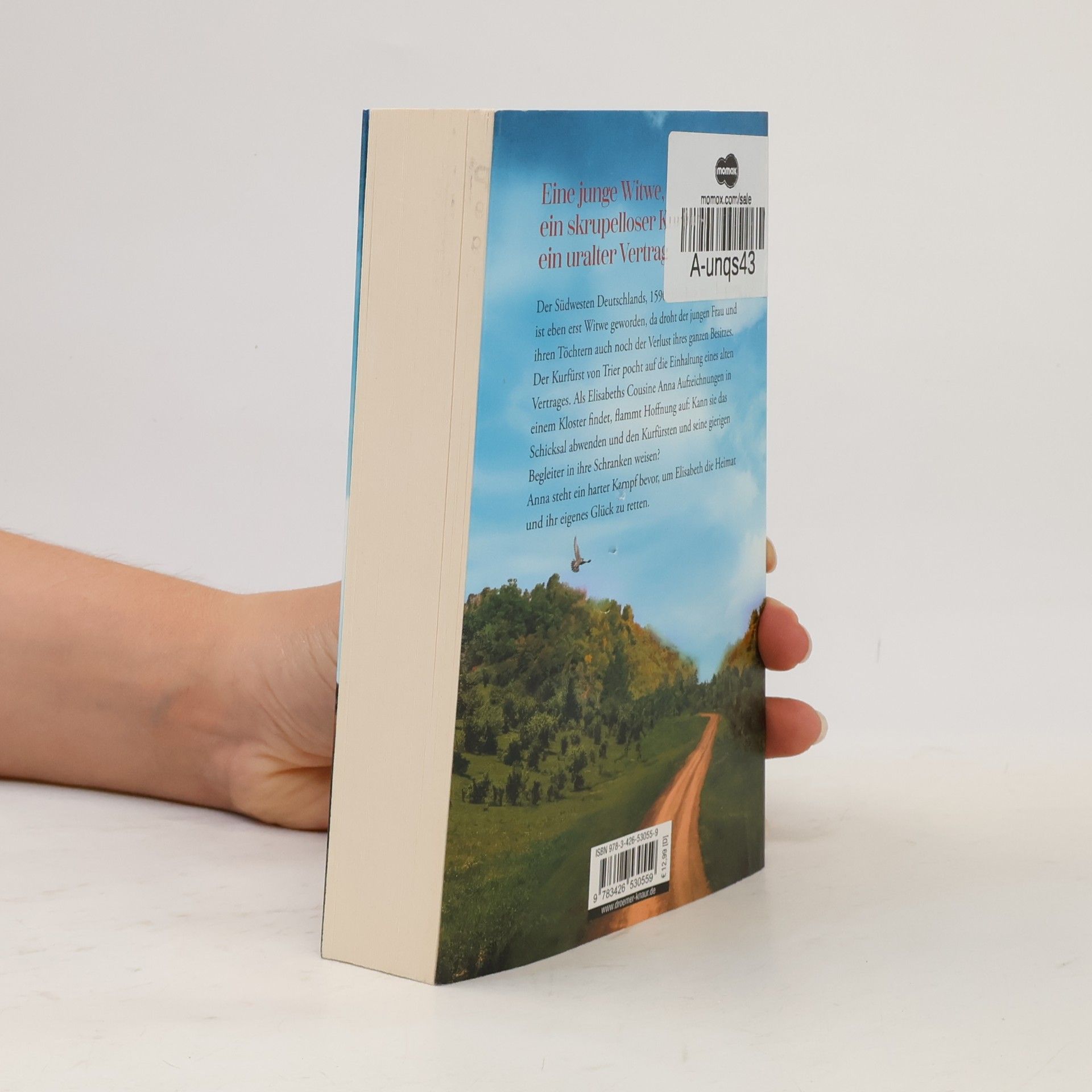 Iny Lorentz Ein verhängnisvolles Testament