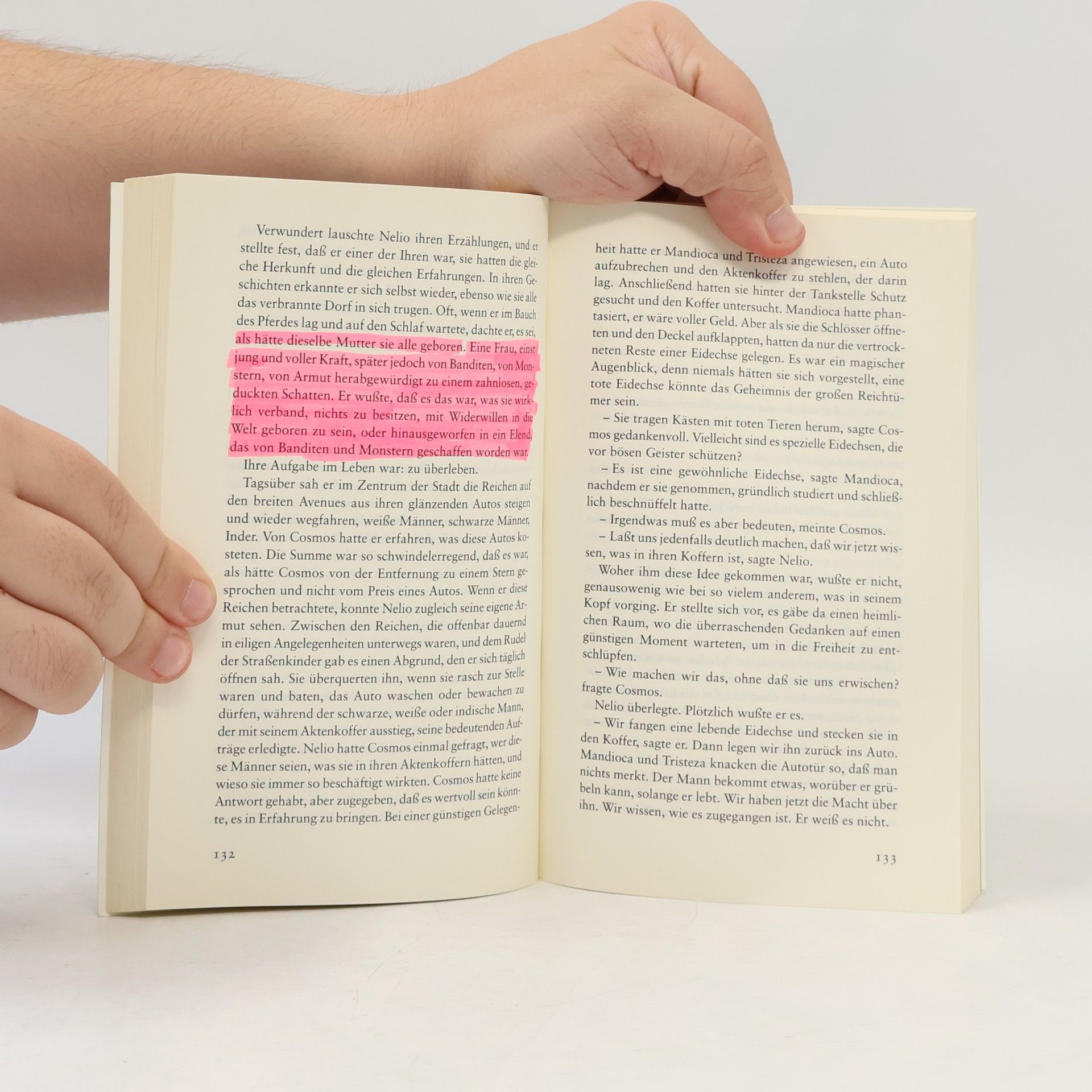 Henning Mankell Der Chronist der Winde