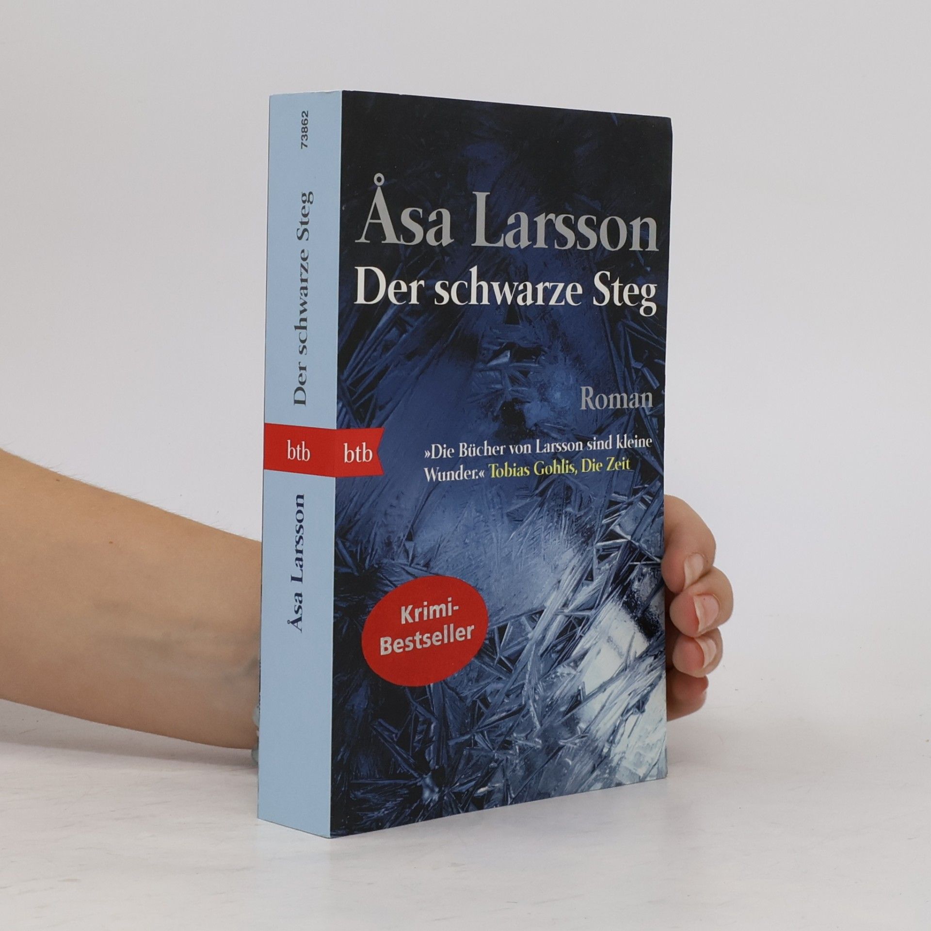 Åsa Larsson Der schwarze Steg