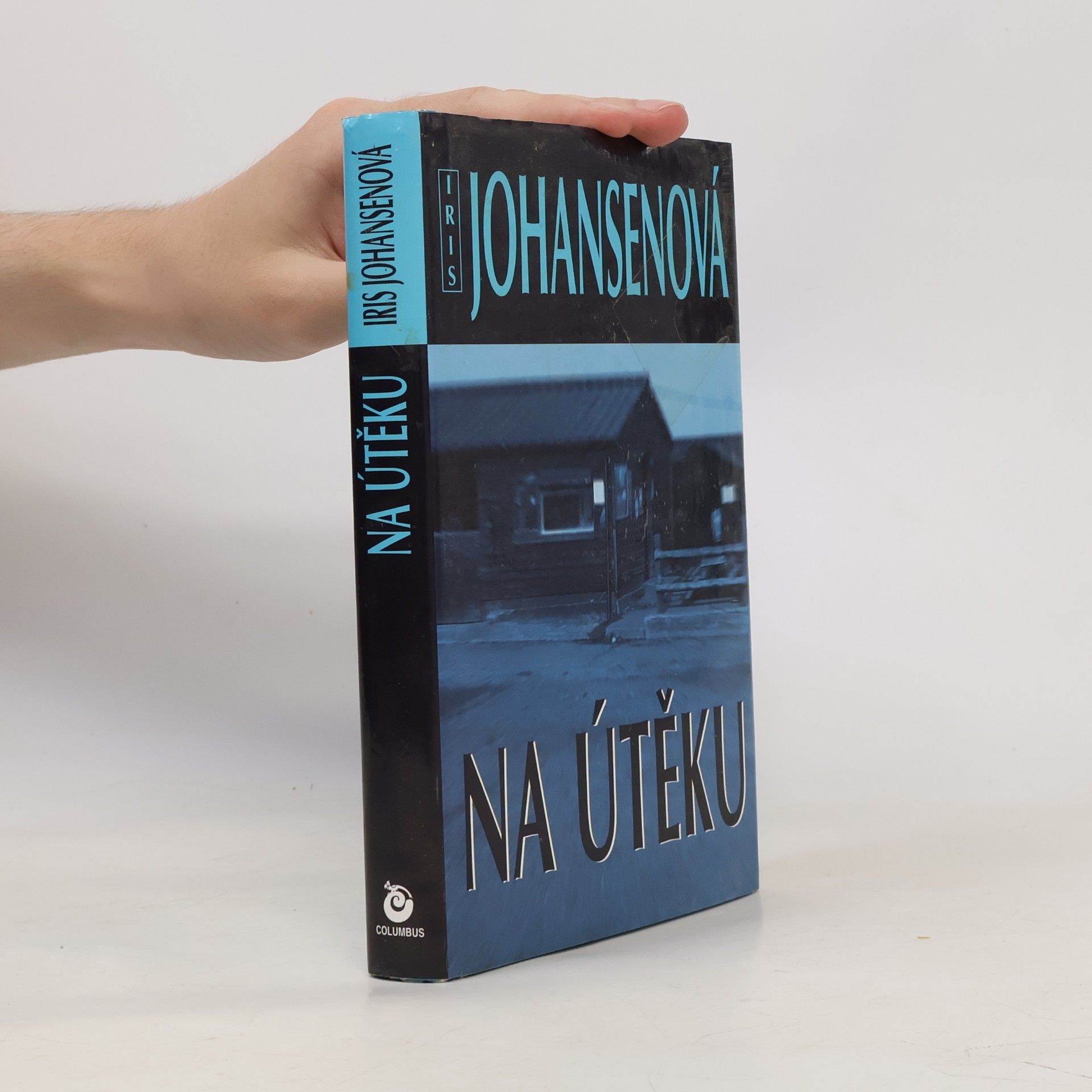Iris Johansen Na útěku