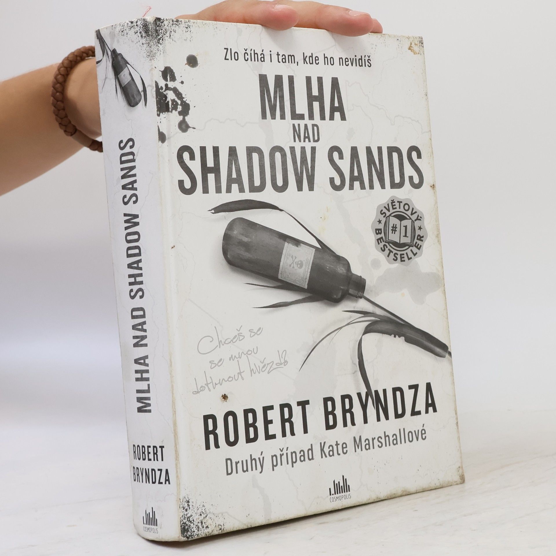 Robert Bryndza Mlha nad Shadow Sands