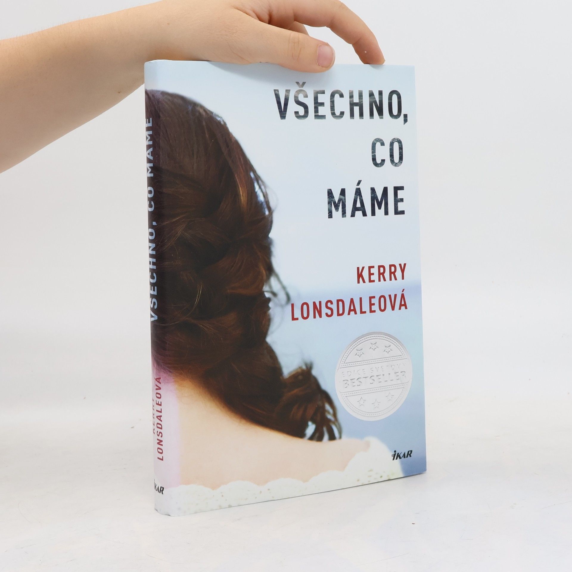 Kerry Lonsdale Všechno, co máme