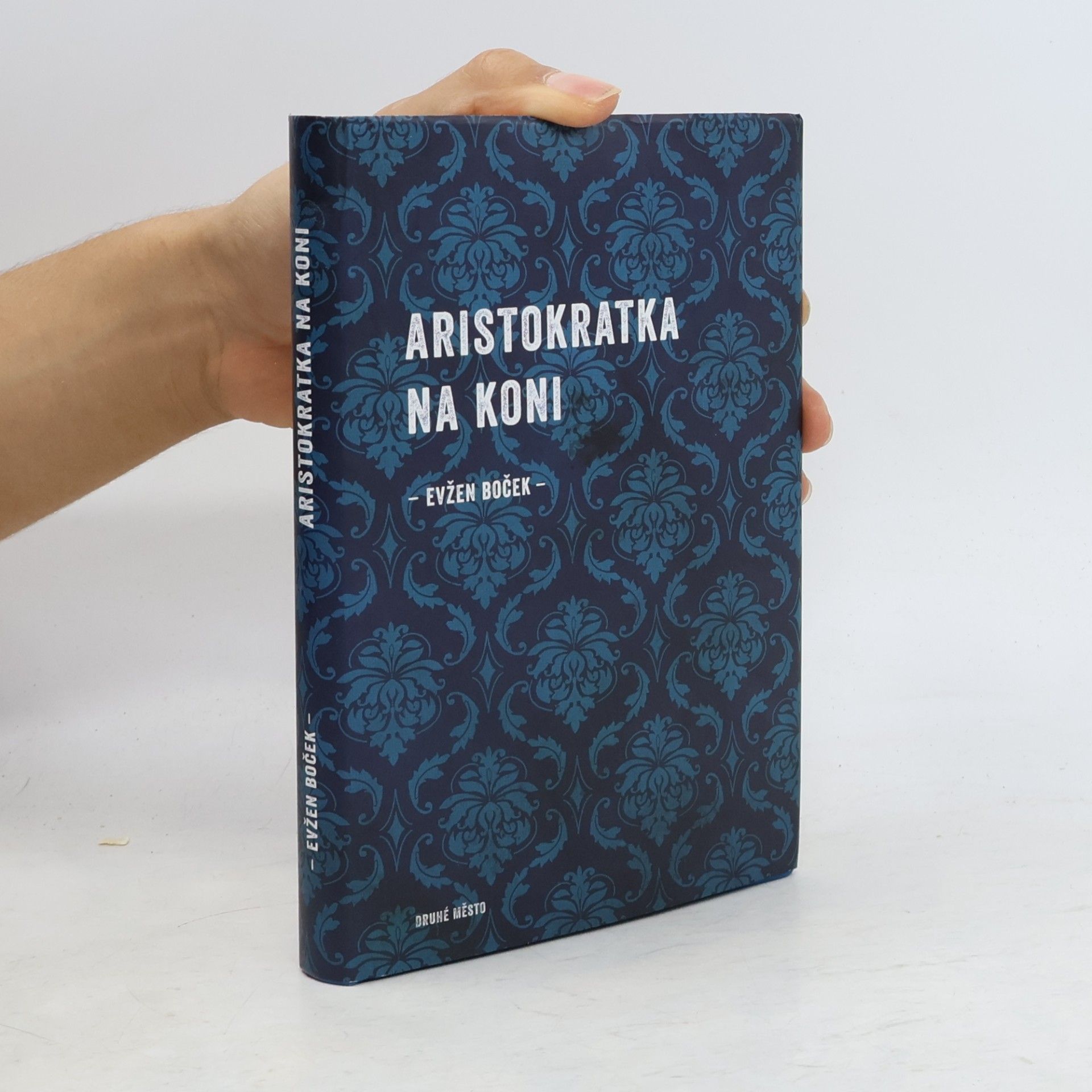 Evžen Boček Aristokratka na koni