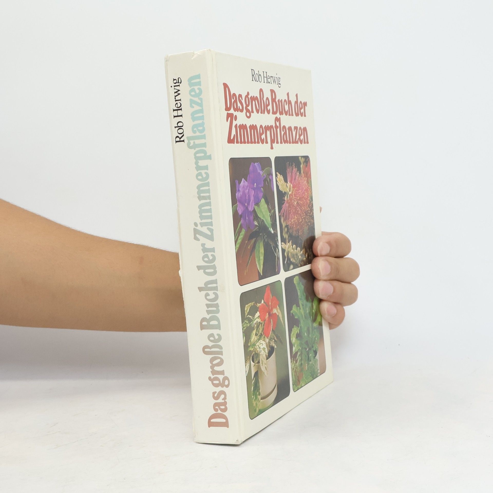 Rob Hewig Das grosse Buch der Zimmerpflanzen