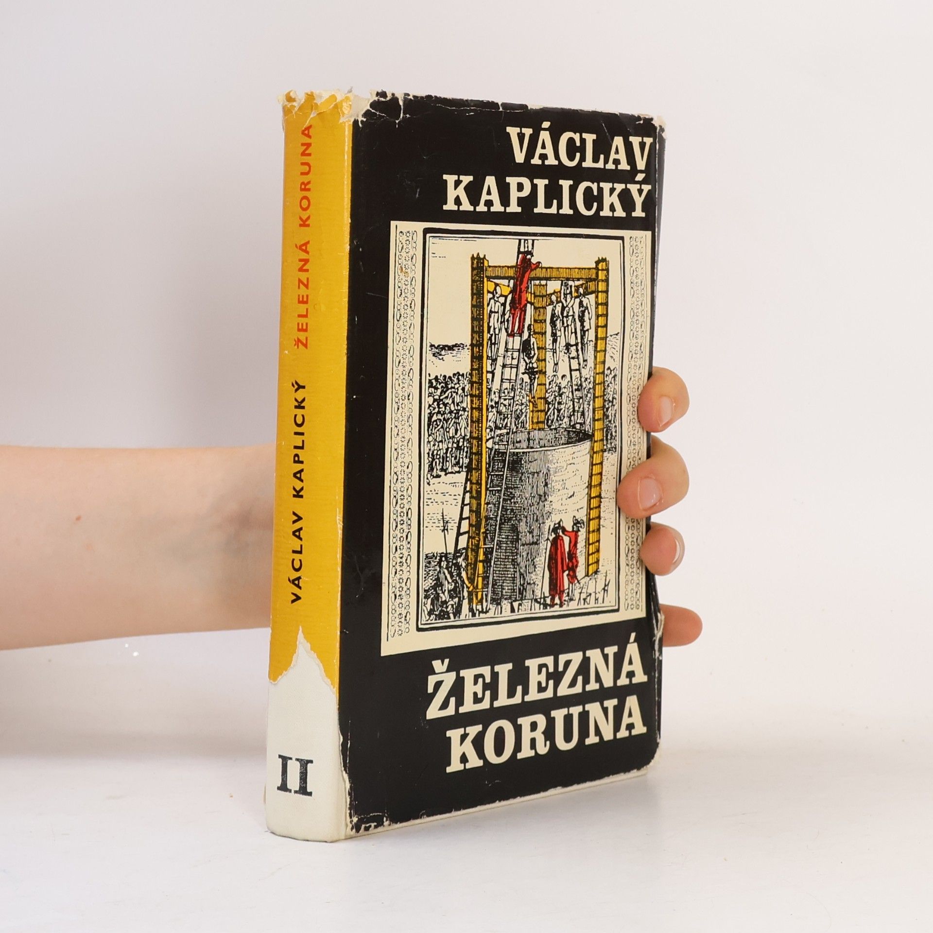 Václav Kaplický Železná koruna II.