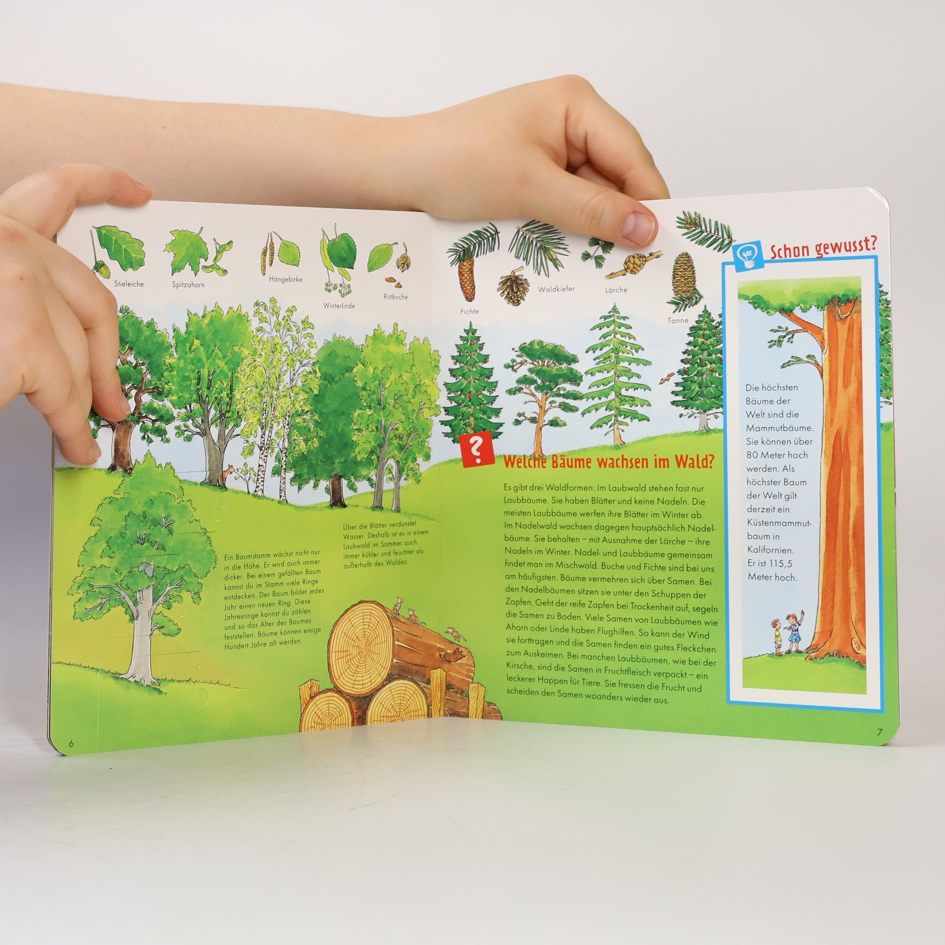Auteurscollectief Was ist was Junior. Im Wald