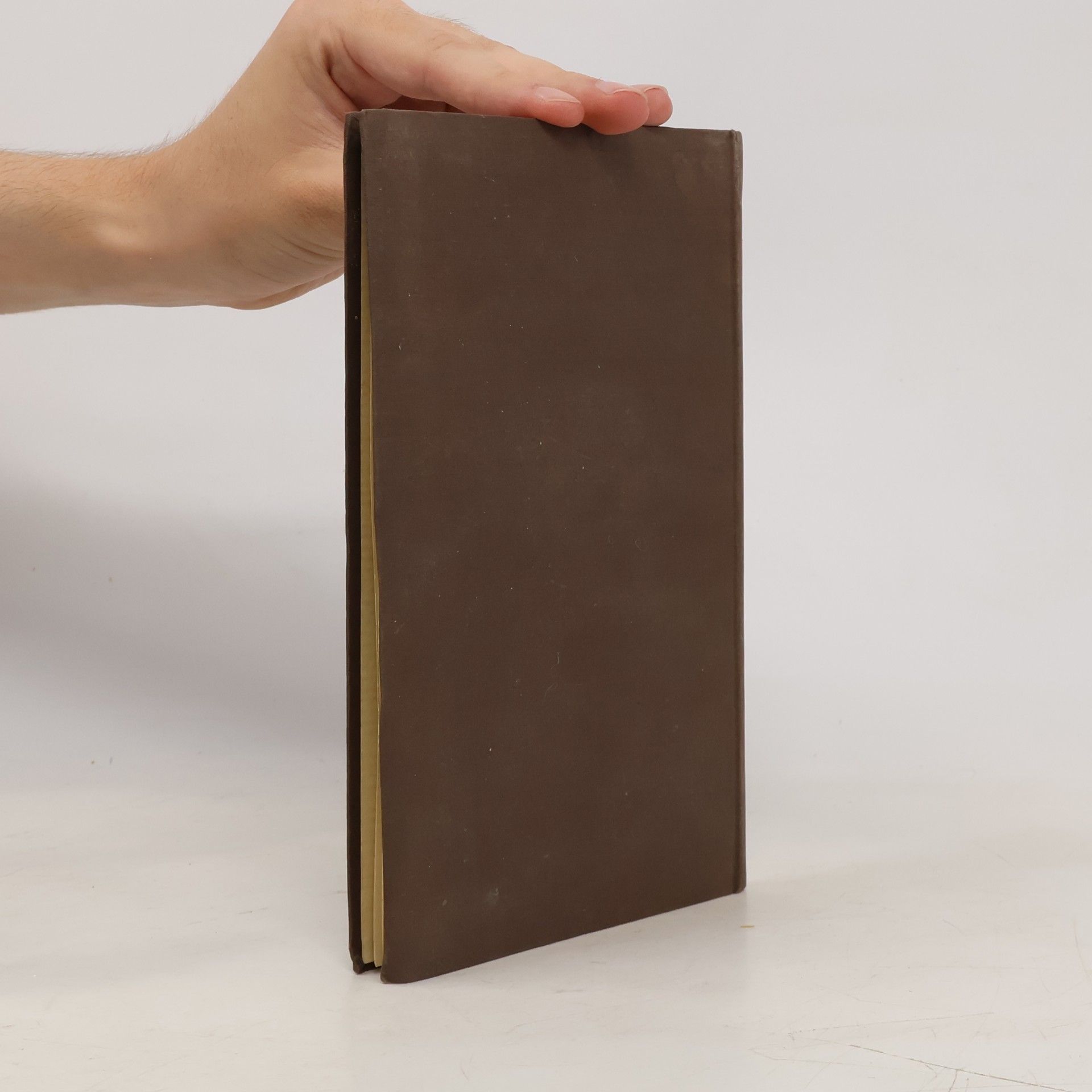François Villon Prokletí básníci 1. Villon