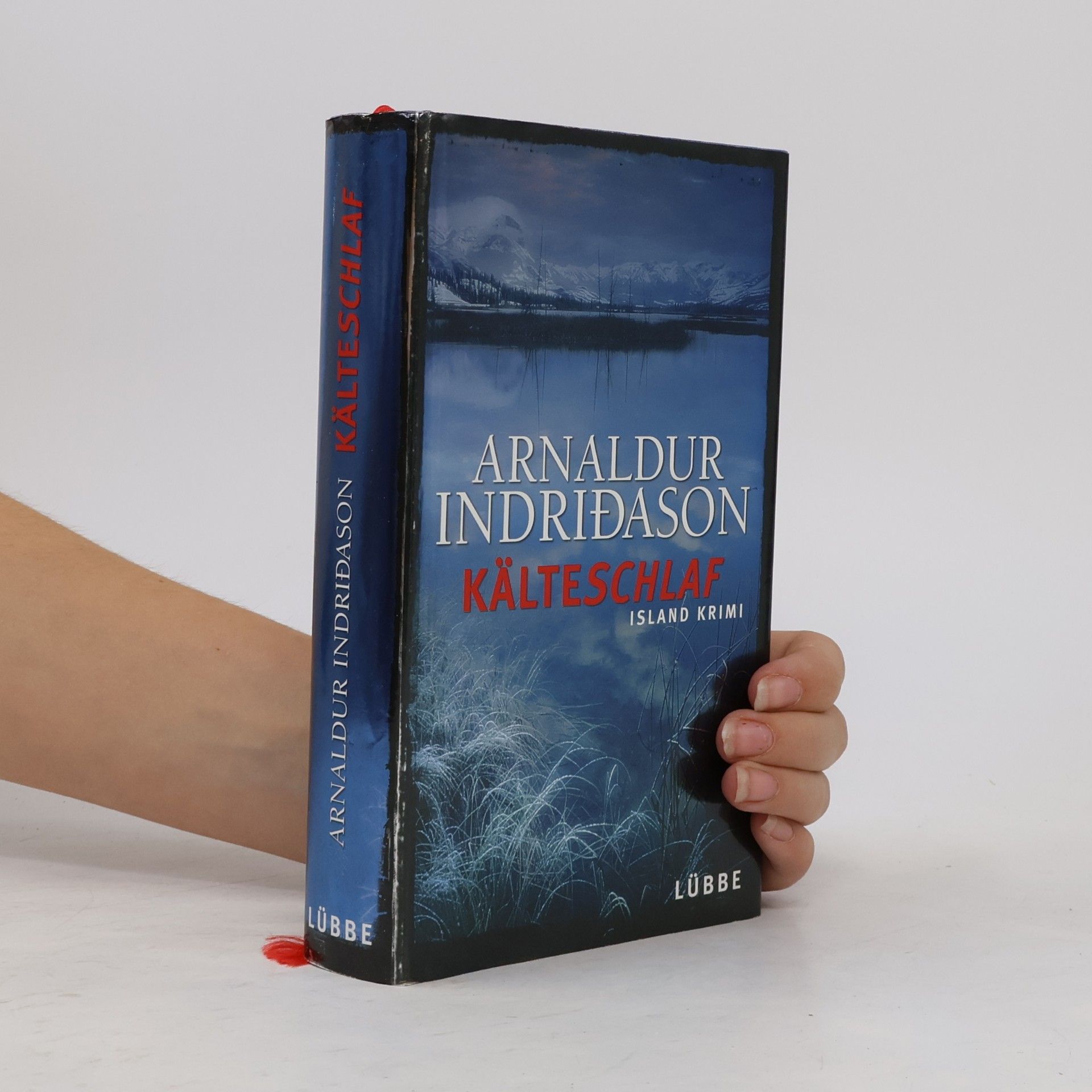 Arnaldur Indriðason Kälteschlaf