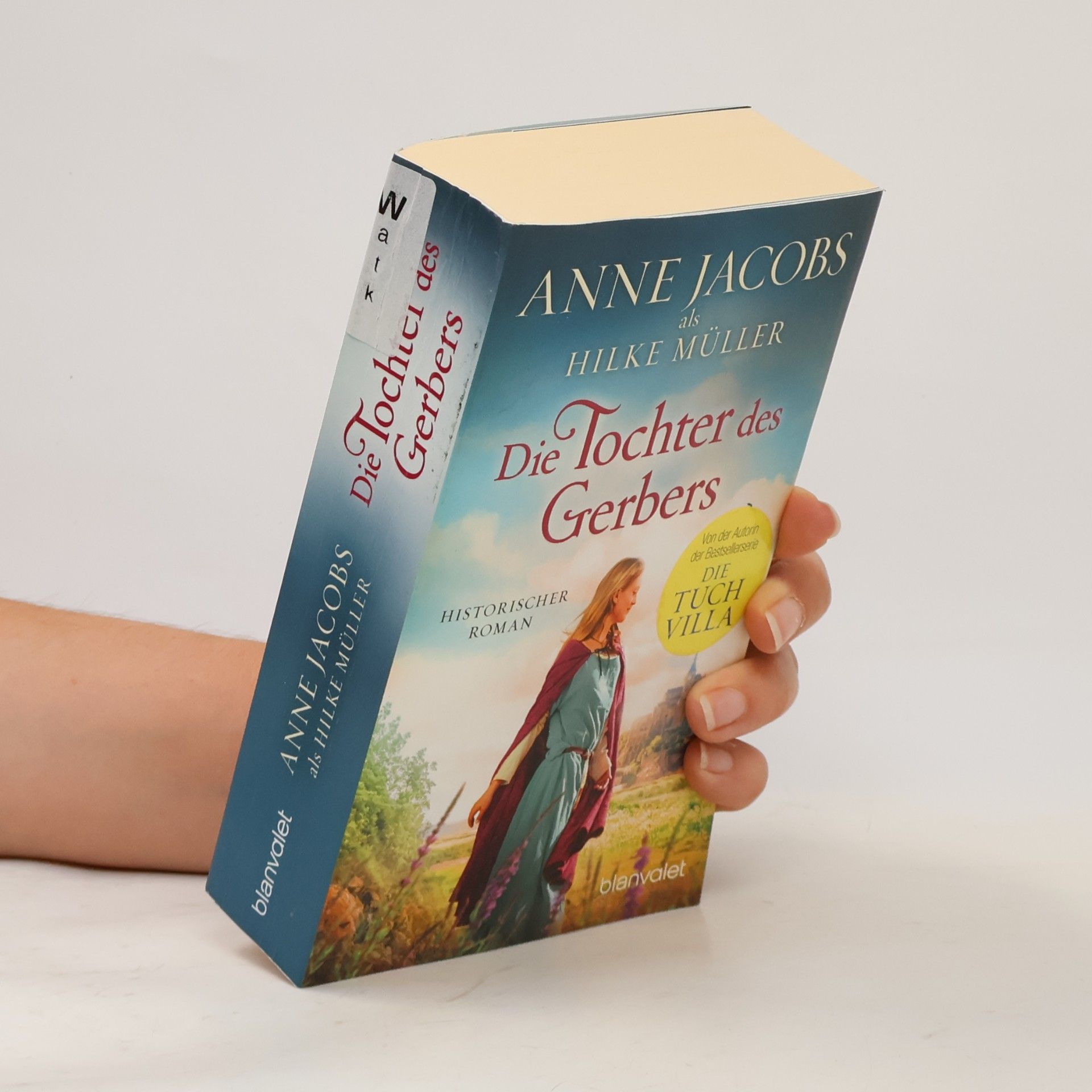 Hilke Sellnick Die Tochter des Gerbers