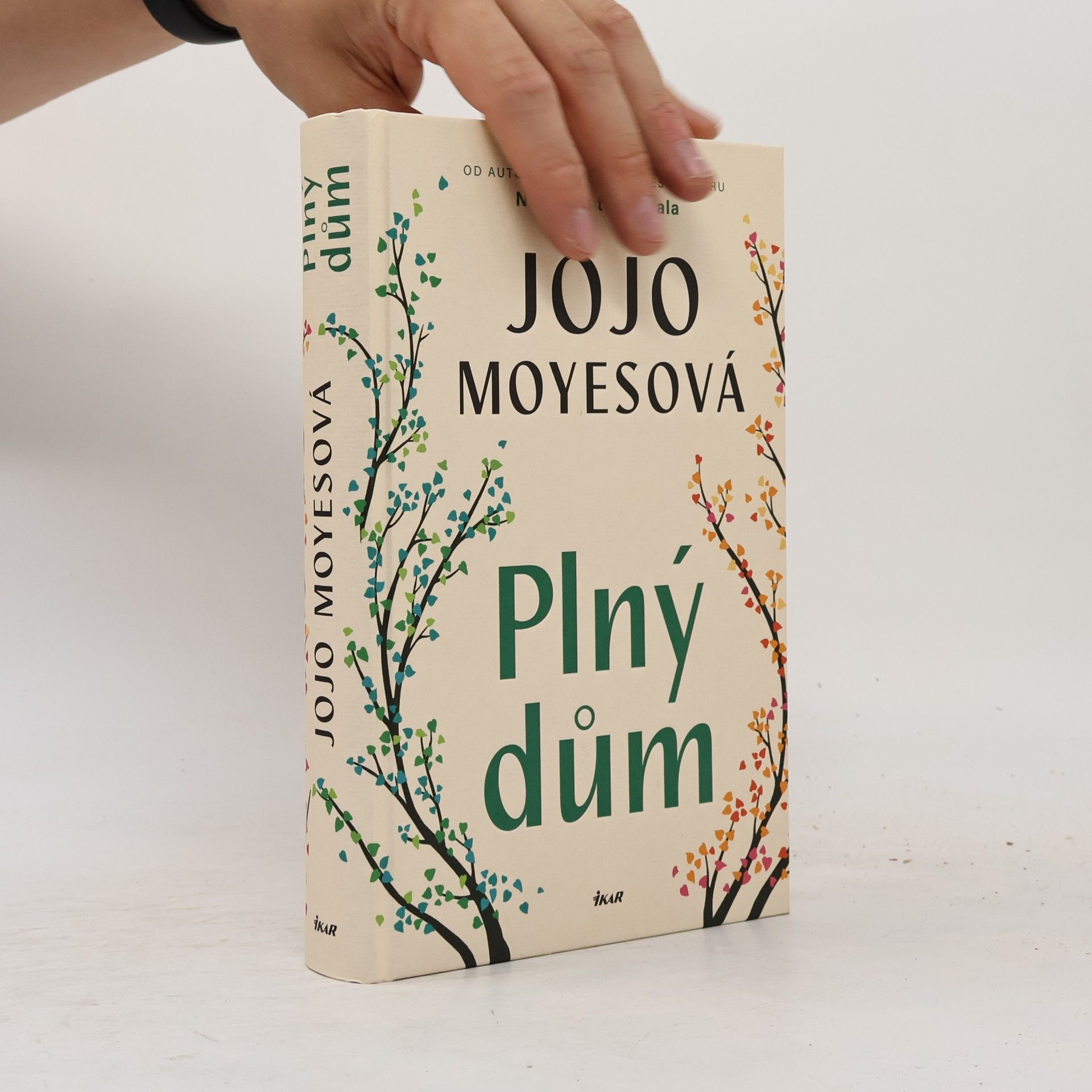 Plný dům