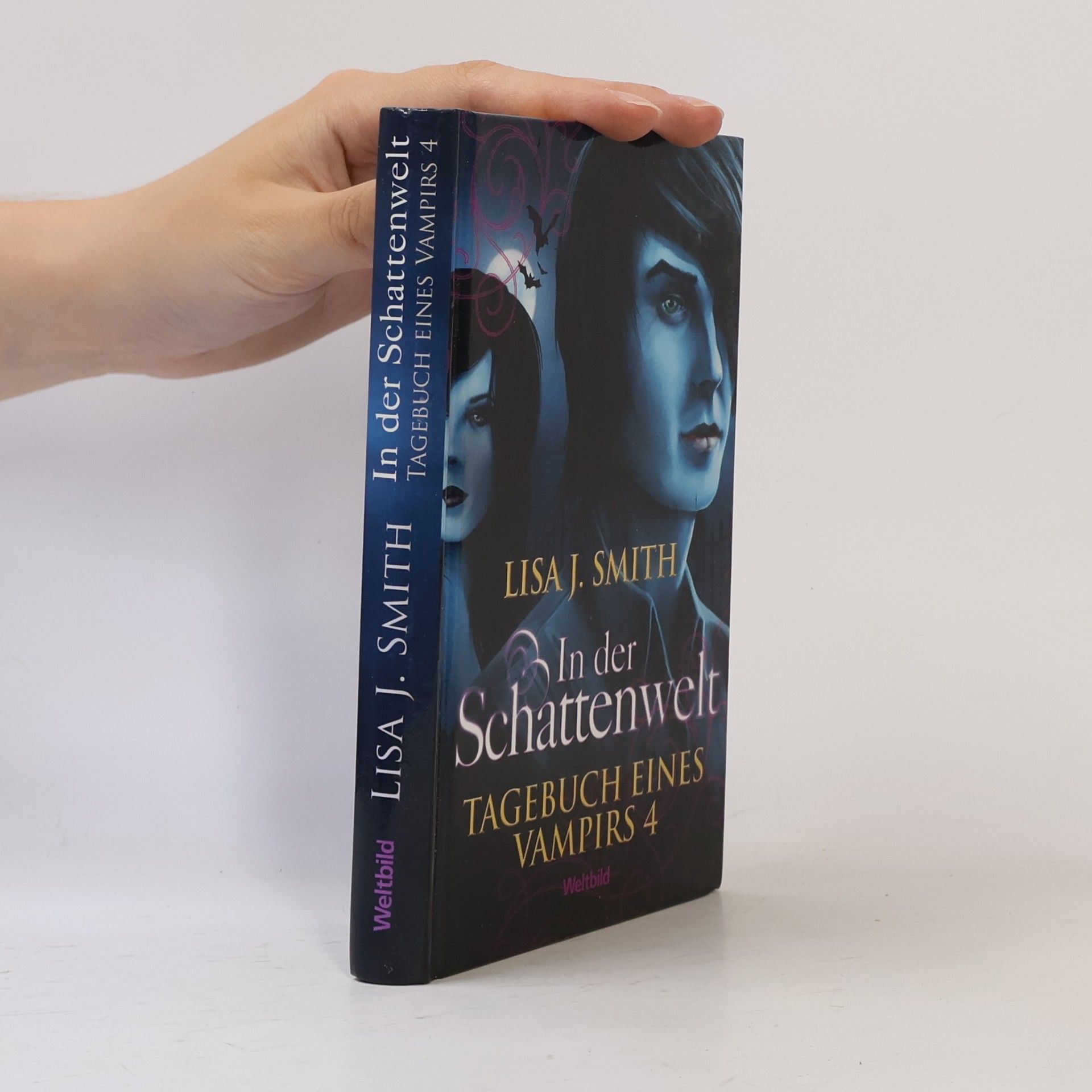L. J. Smithová  Tagebuch eines Vampirs 4. In der Schattenwelt