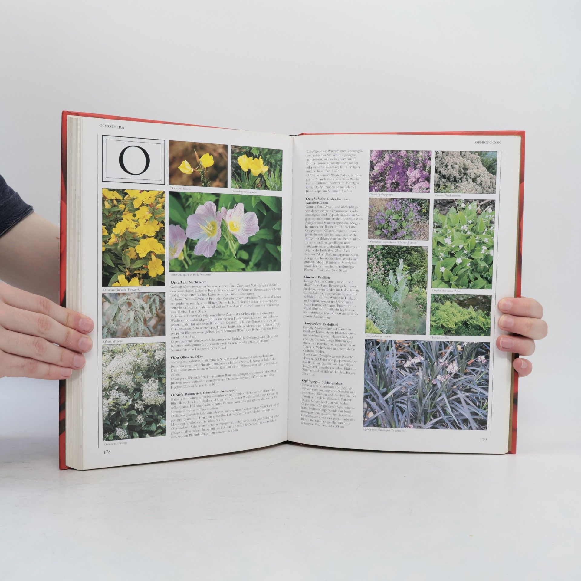 Lance Hattatt 1000 Gartenpflanzen von A bis Z