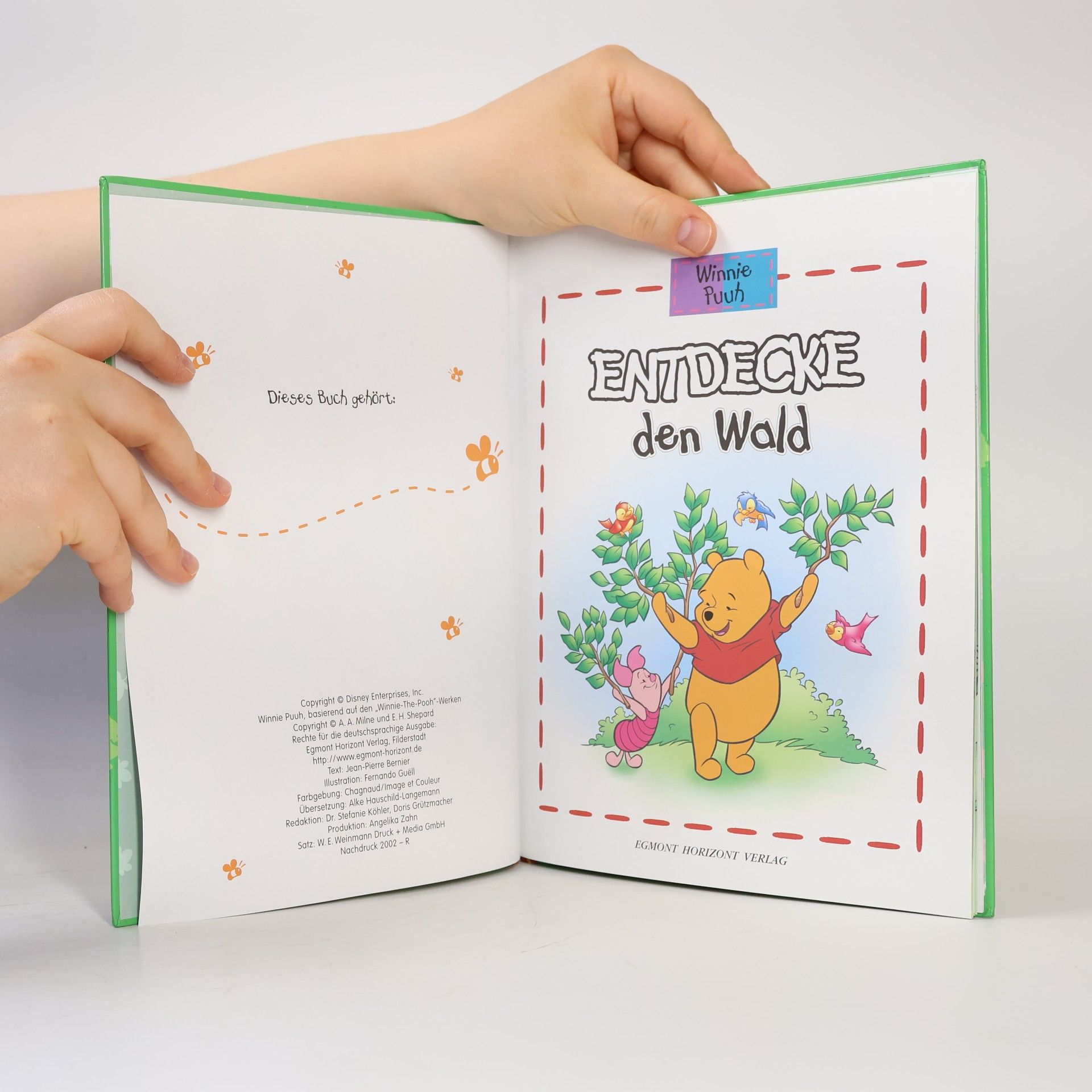 kolektiv Winnie Puuh. Entdecke den Wald