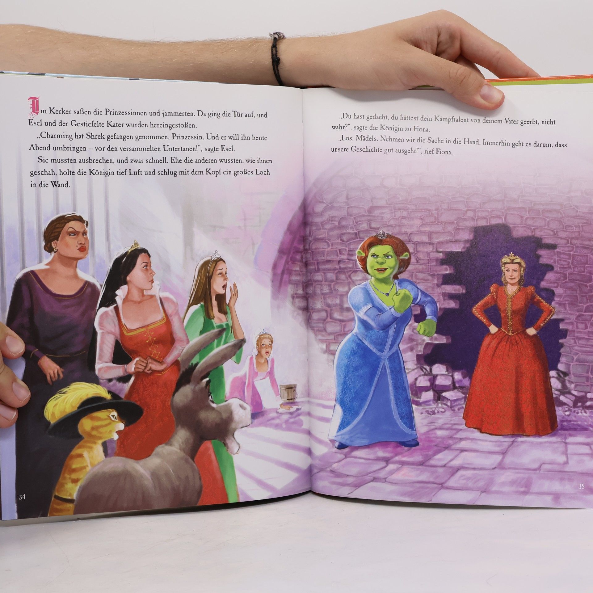 Autorenkollektiv Shrek der Dritte. Das Buch zum Film