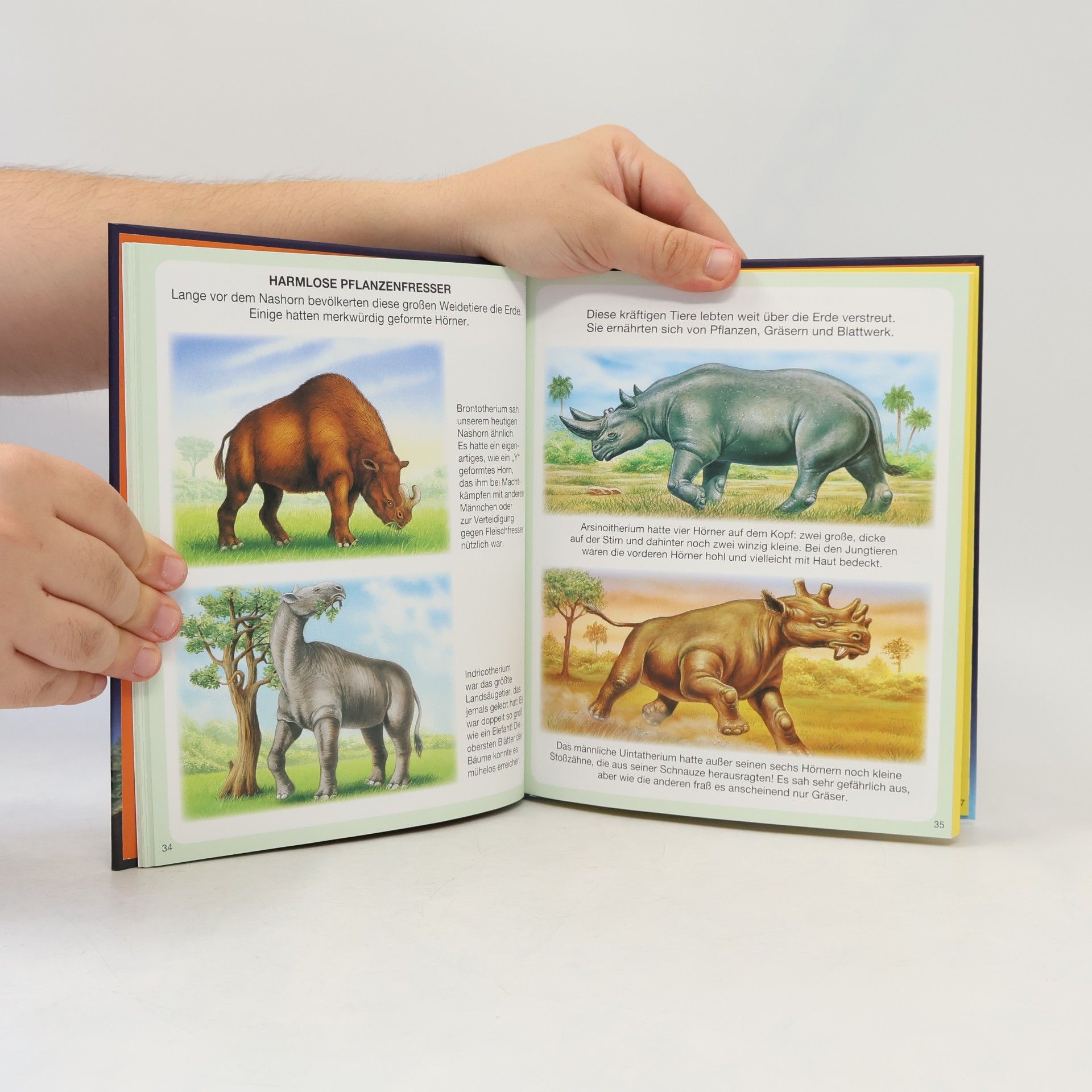 Autorenkollektiv Kinderwissen Dinosaurier und Vorgeschichte