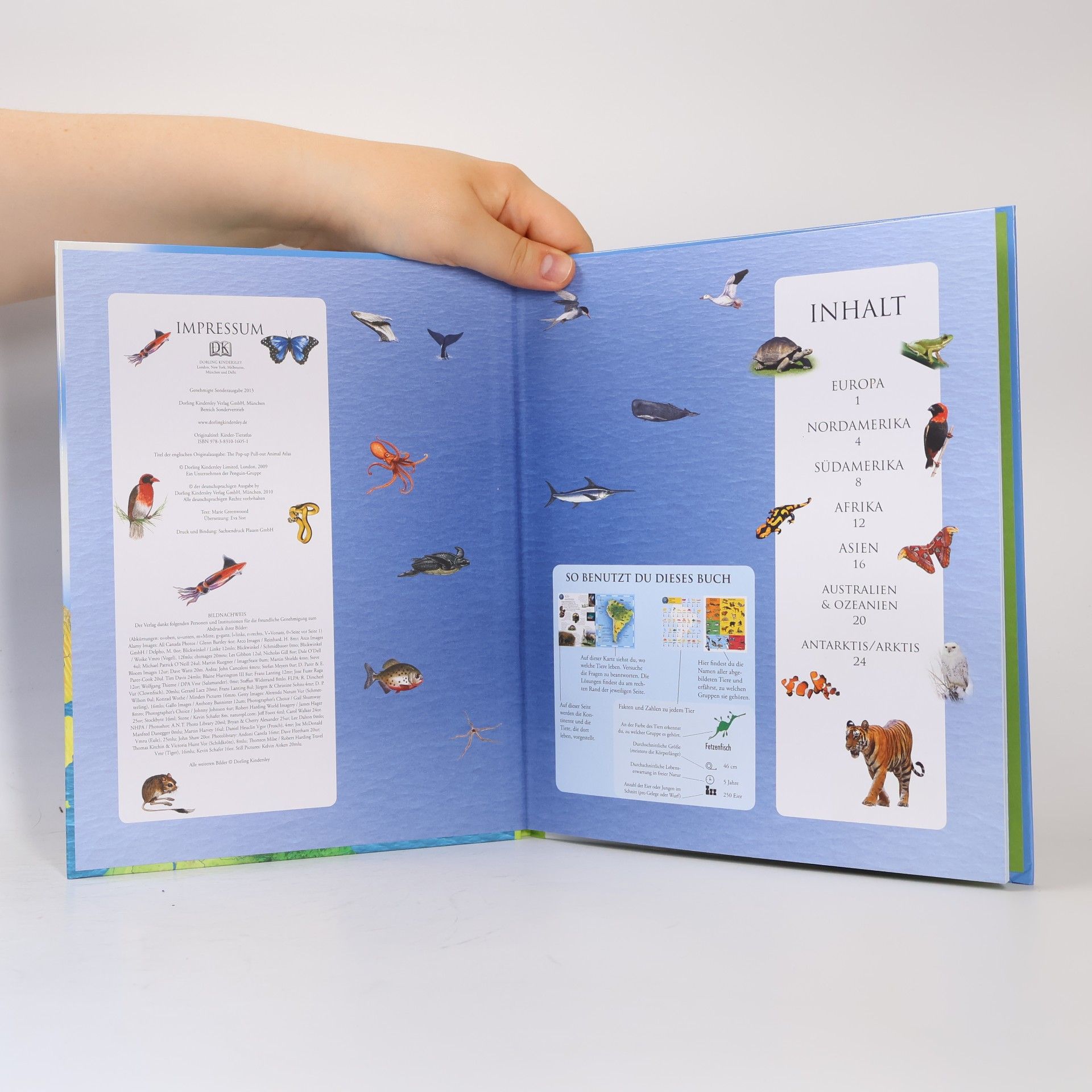 Marie Greenwooed Kinder Tieratlas