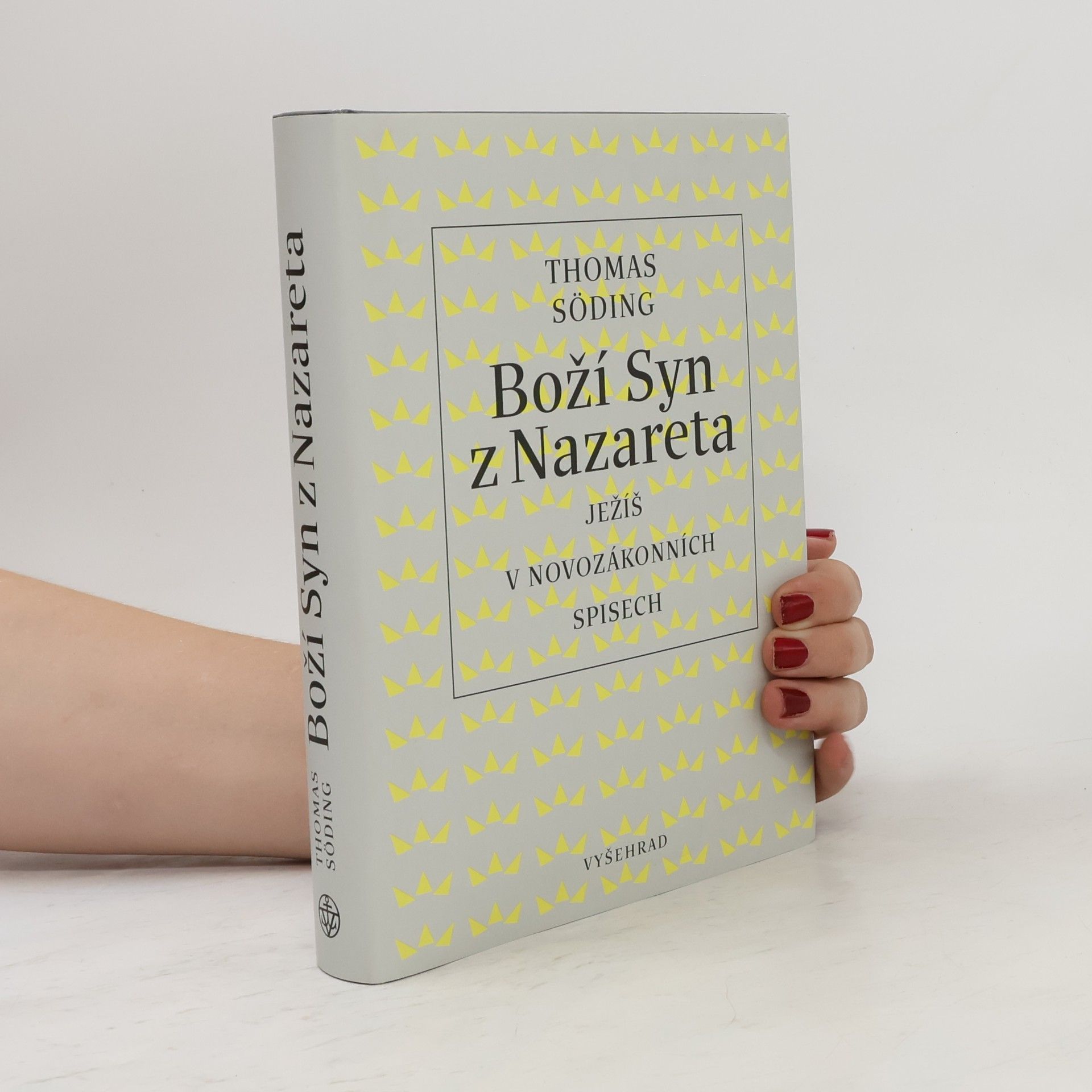 Thomas Söding Boží Syn z Nazareta : Ježíš v novozákonních spisech