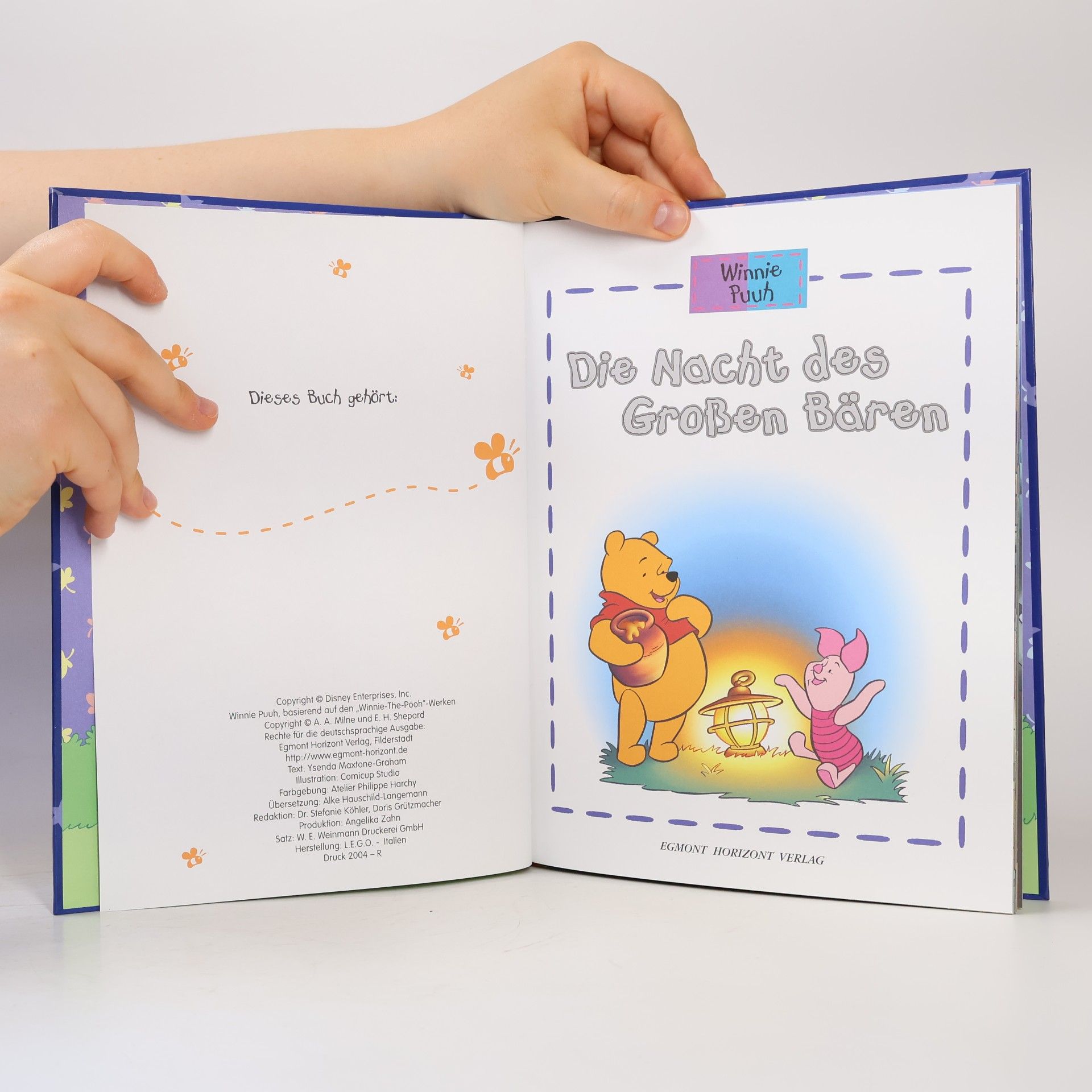 Various authors Winnie Puuh. Diw Nacht des Großsen Bären
