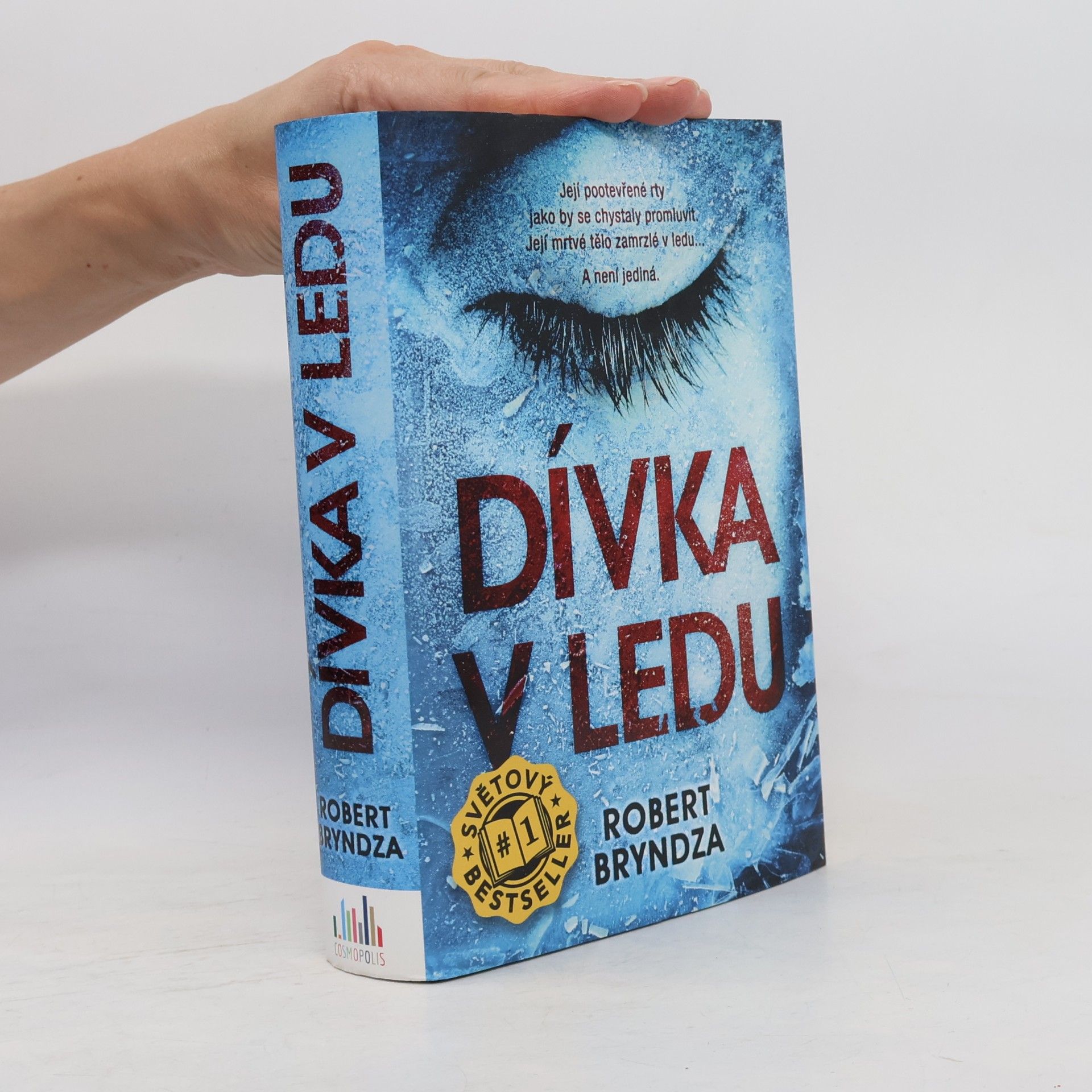 Robert Bryndza Dívka v ledu