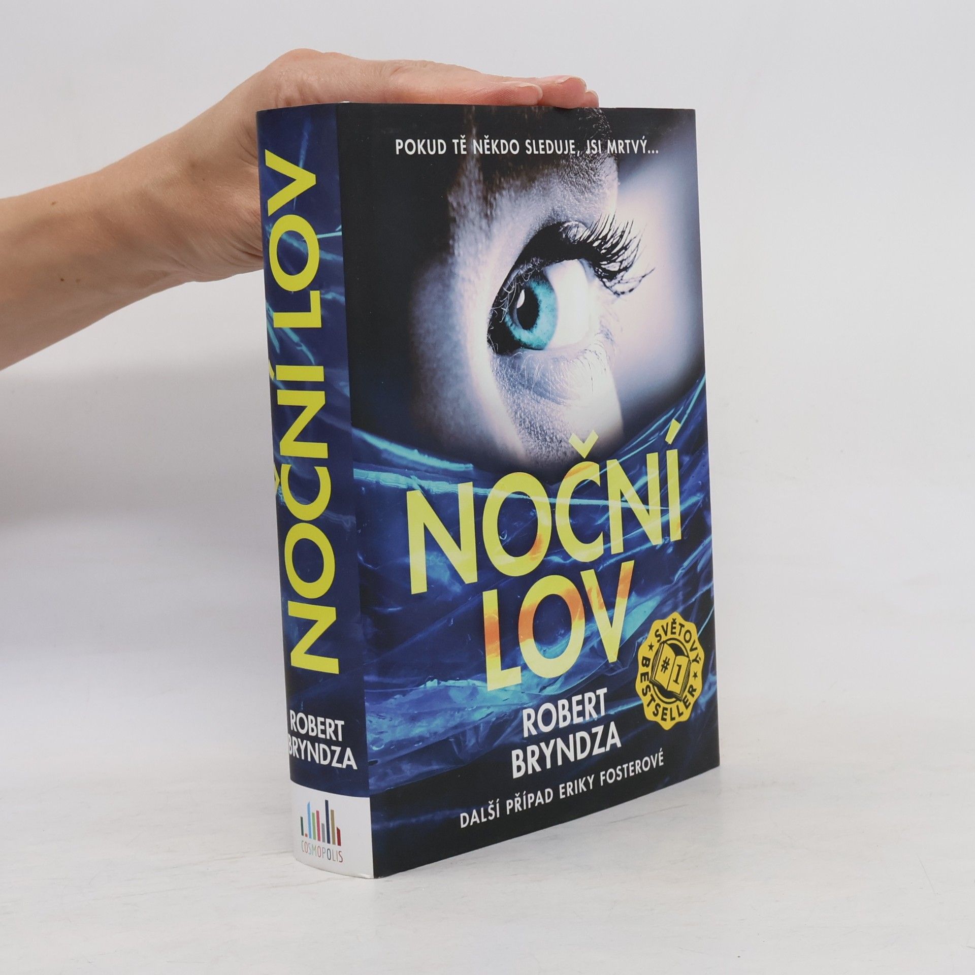 Robert Bryndza Noční lov