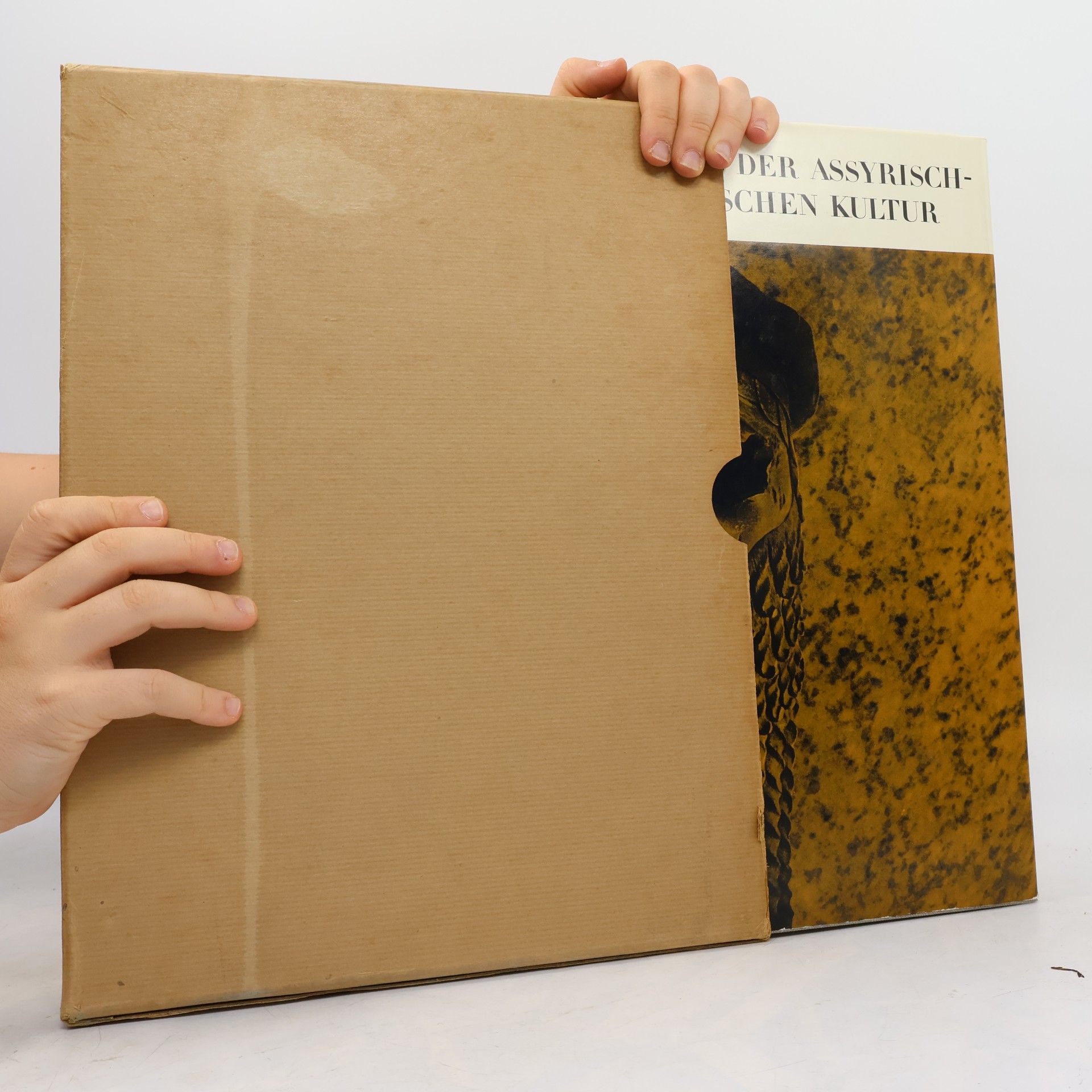 Martinus Adrianus Beek Bildatlas der assyrisch-babylonischen Kultur