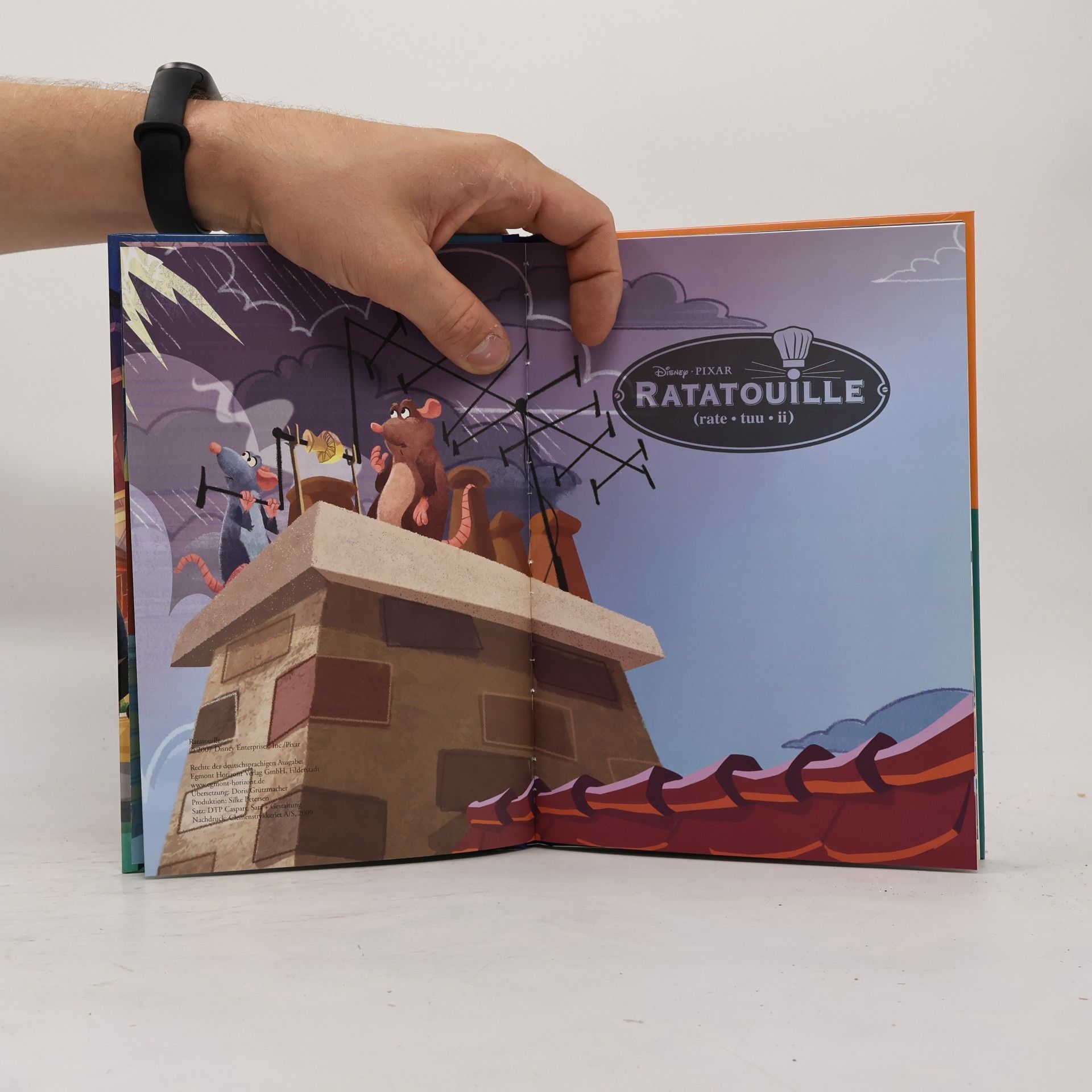 Autorenkollektiv Ratatouille