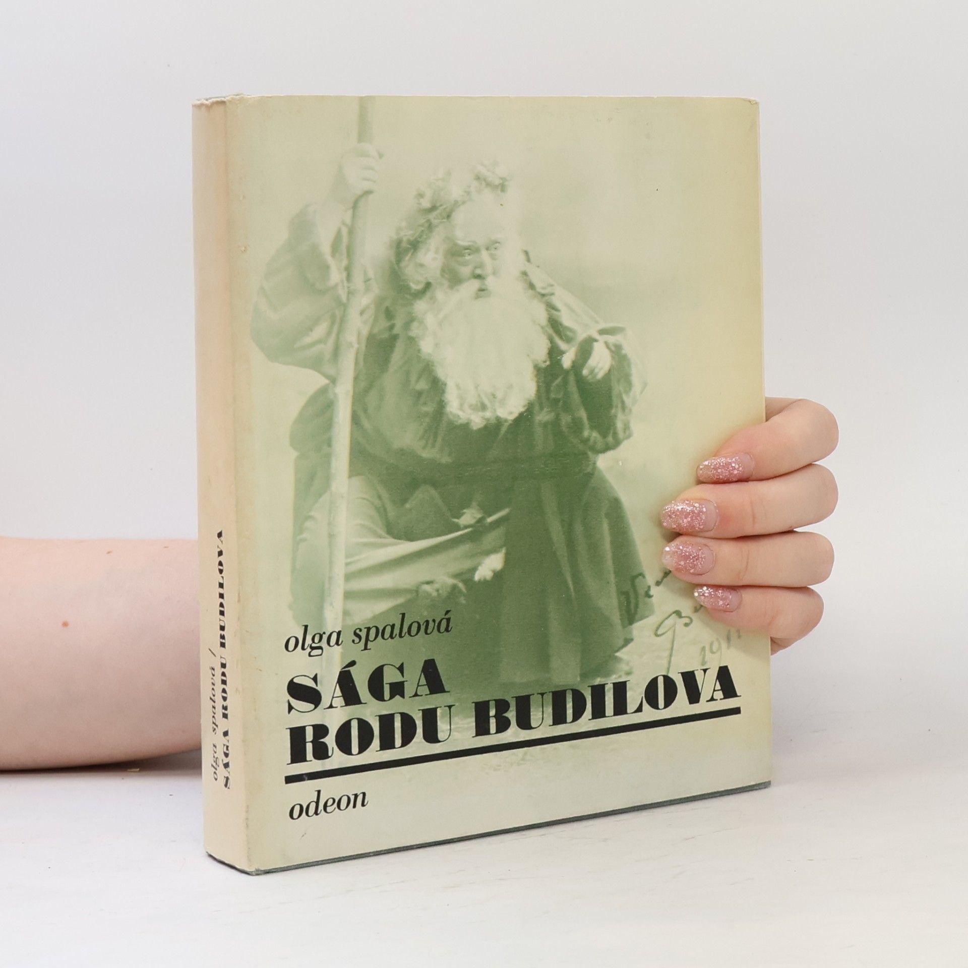 Olga Spalová Sága rodu Budilova