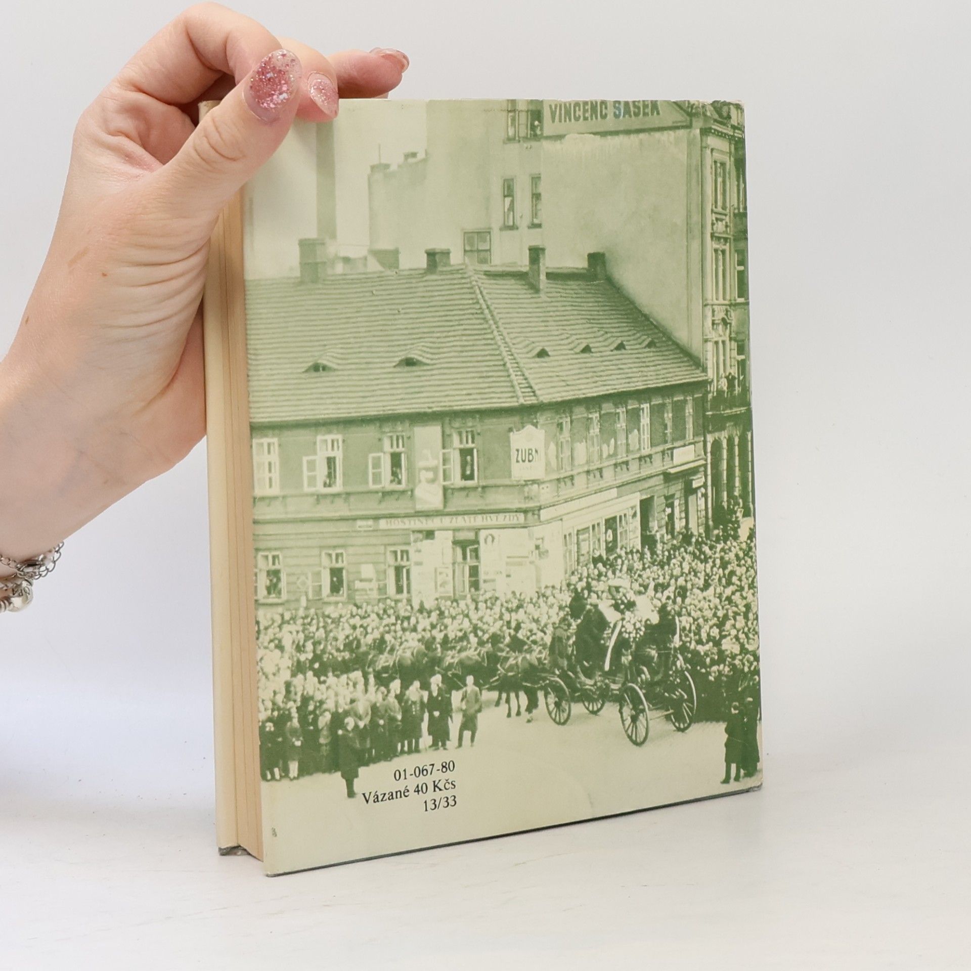 Olga Spalová Sága rodu Budilova