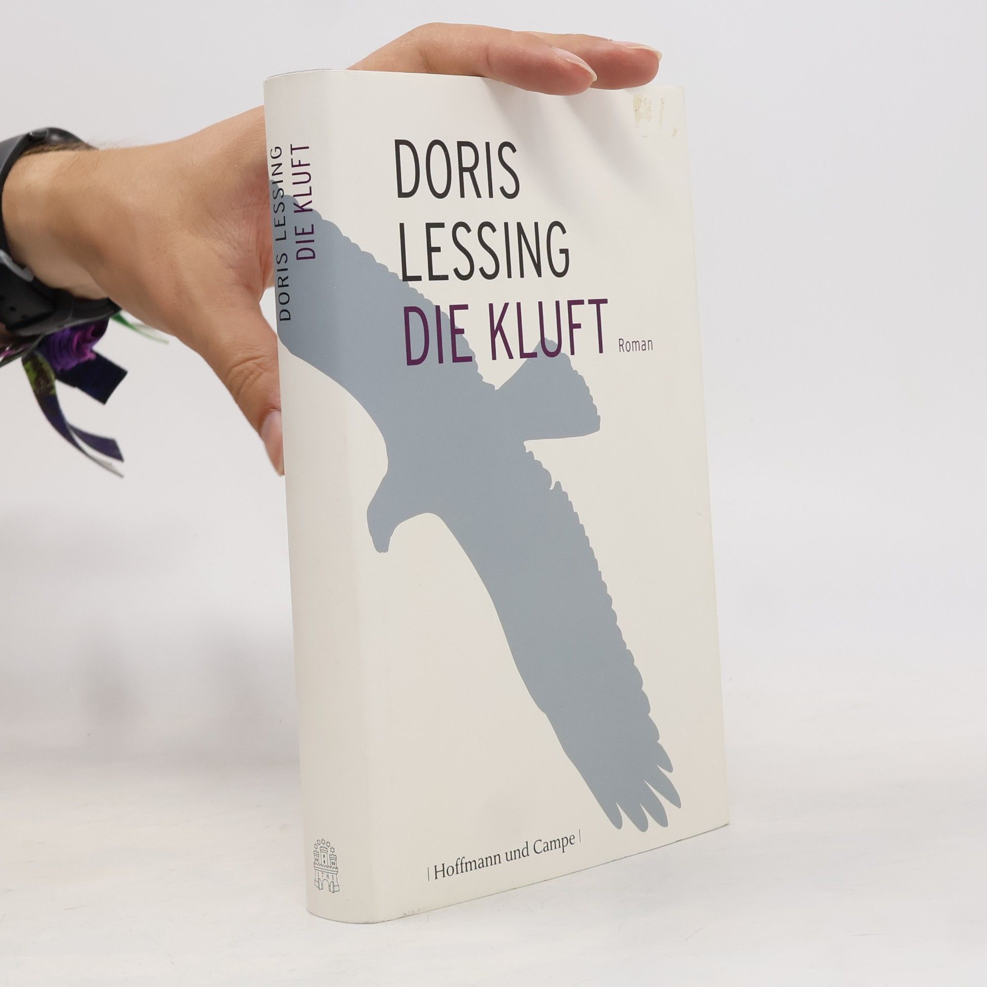 Doris Lessing Die Kluft