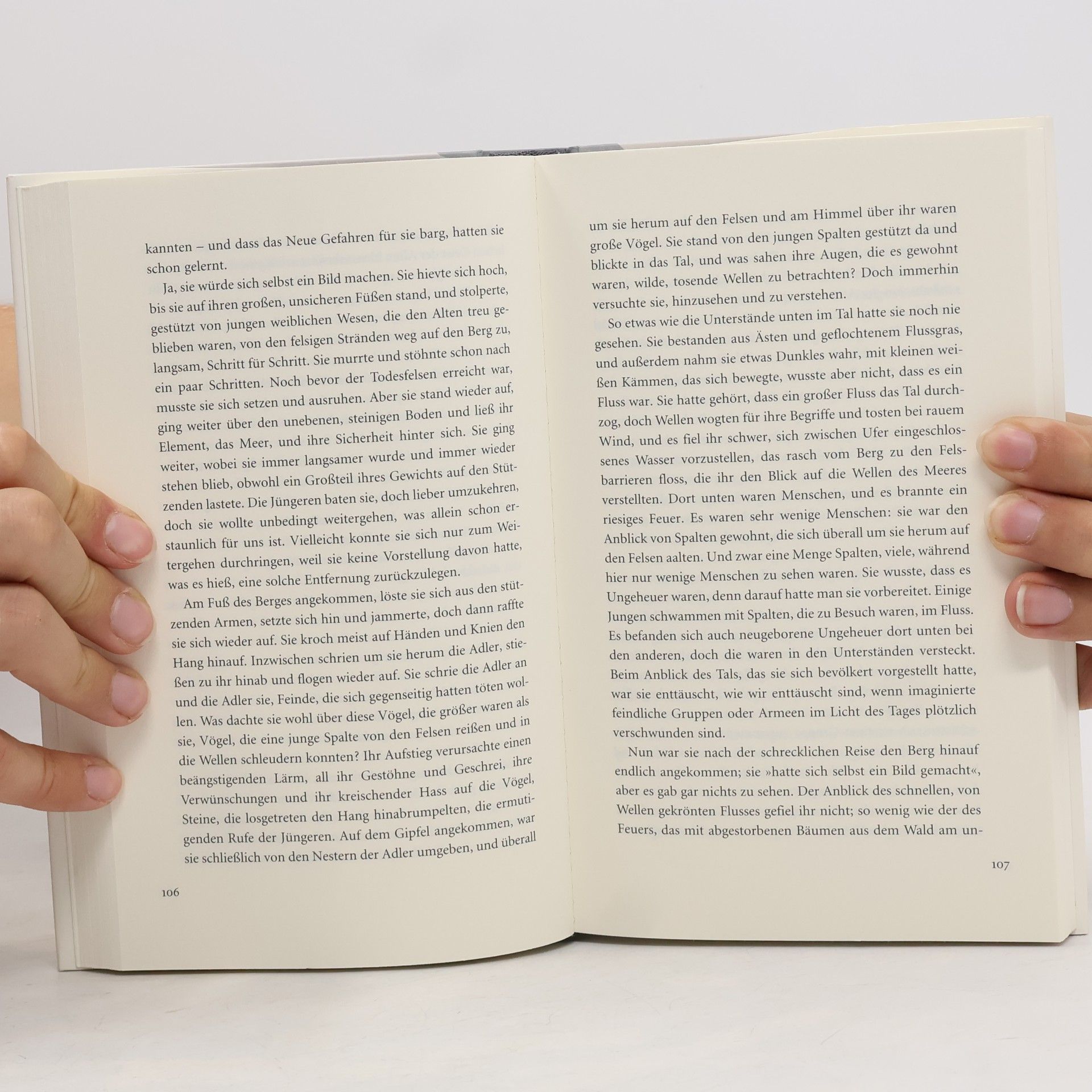 Doris May Lessing Die Kluft