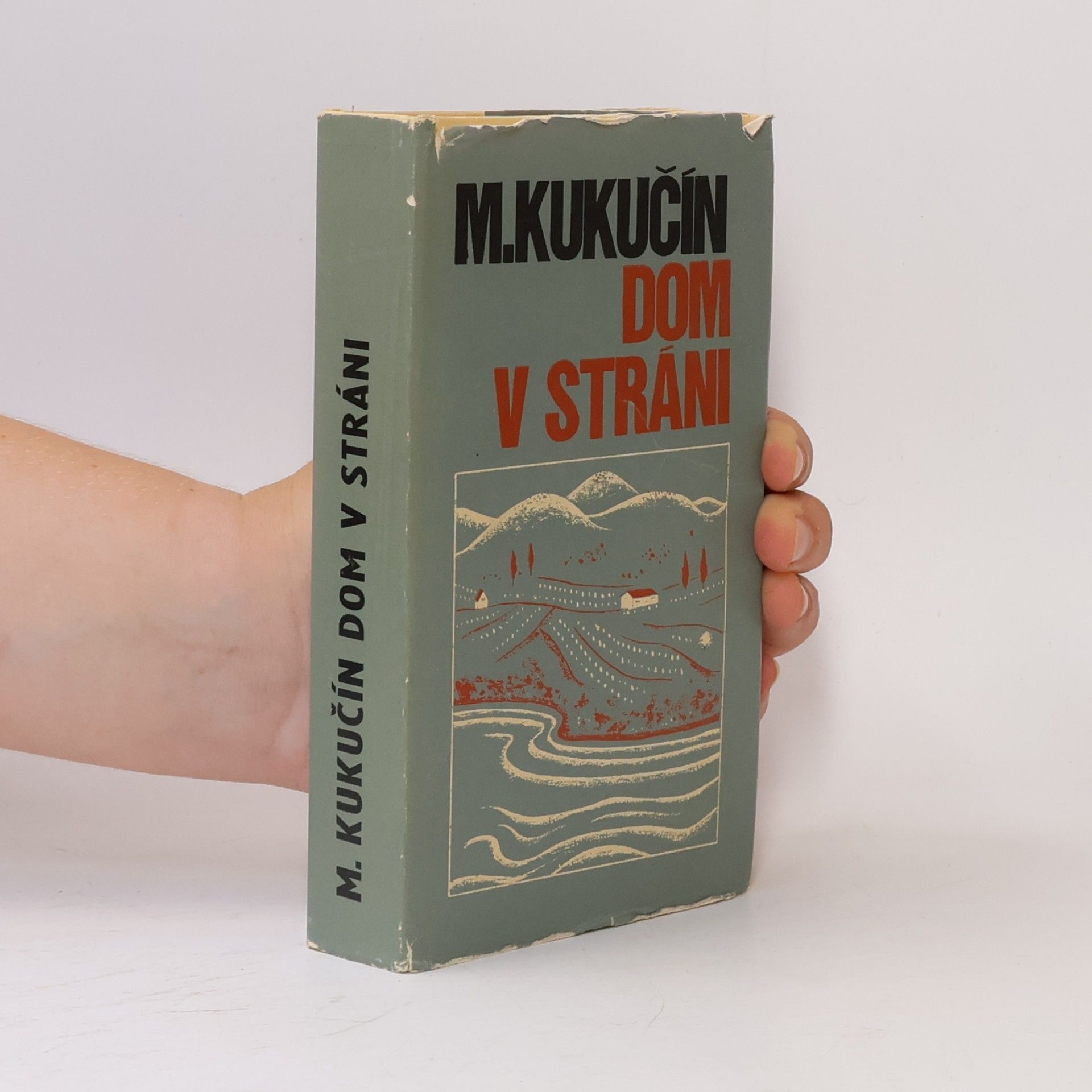 Martin Kukučín Dom v stráni