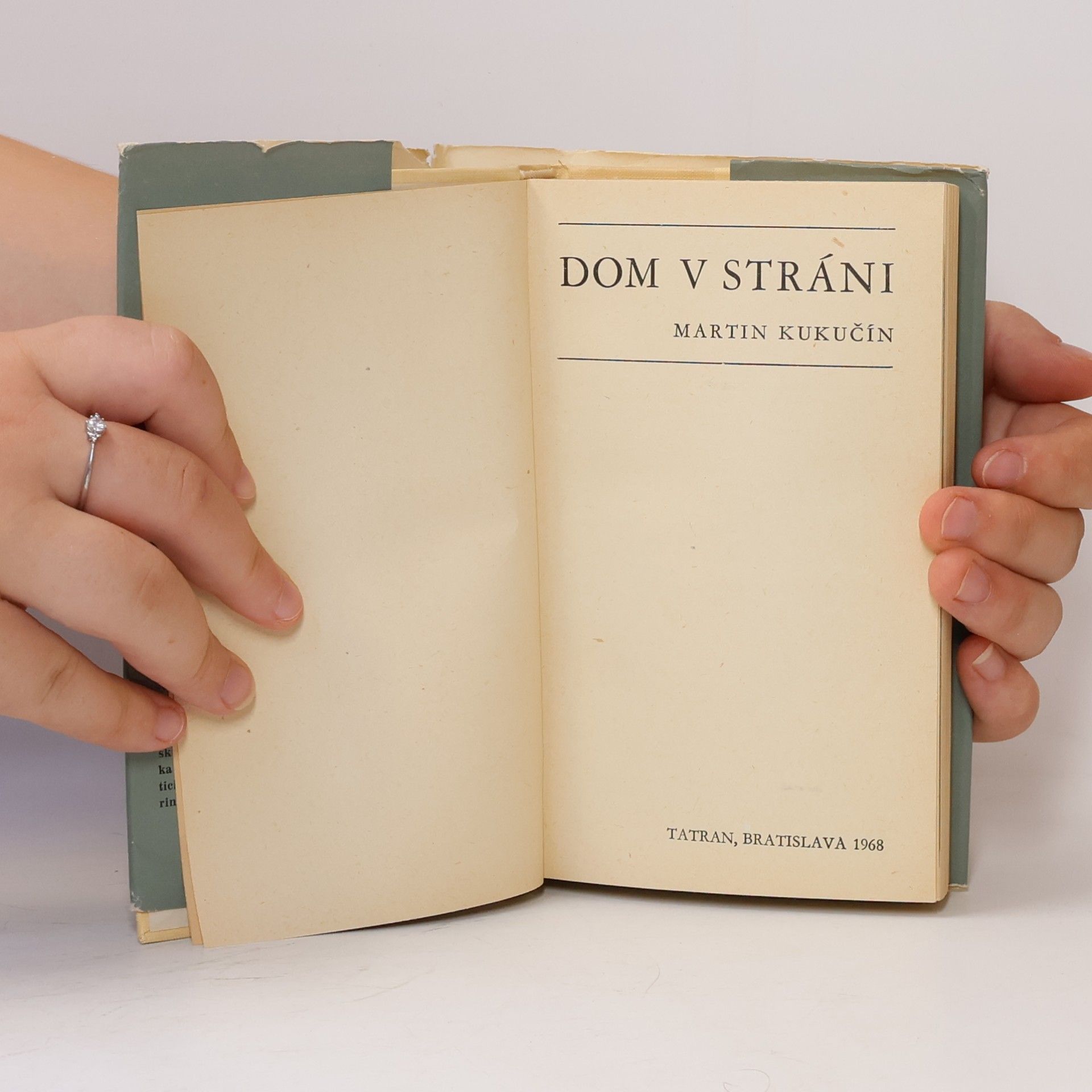 Martin Kukučín Dom v stráni
