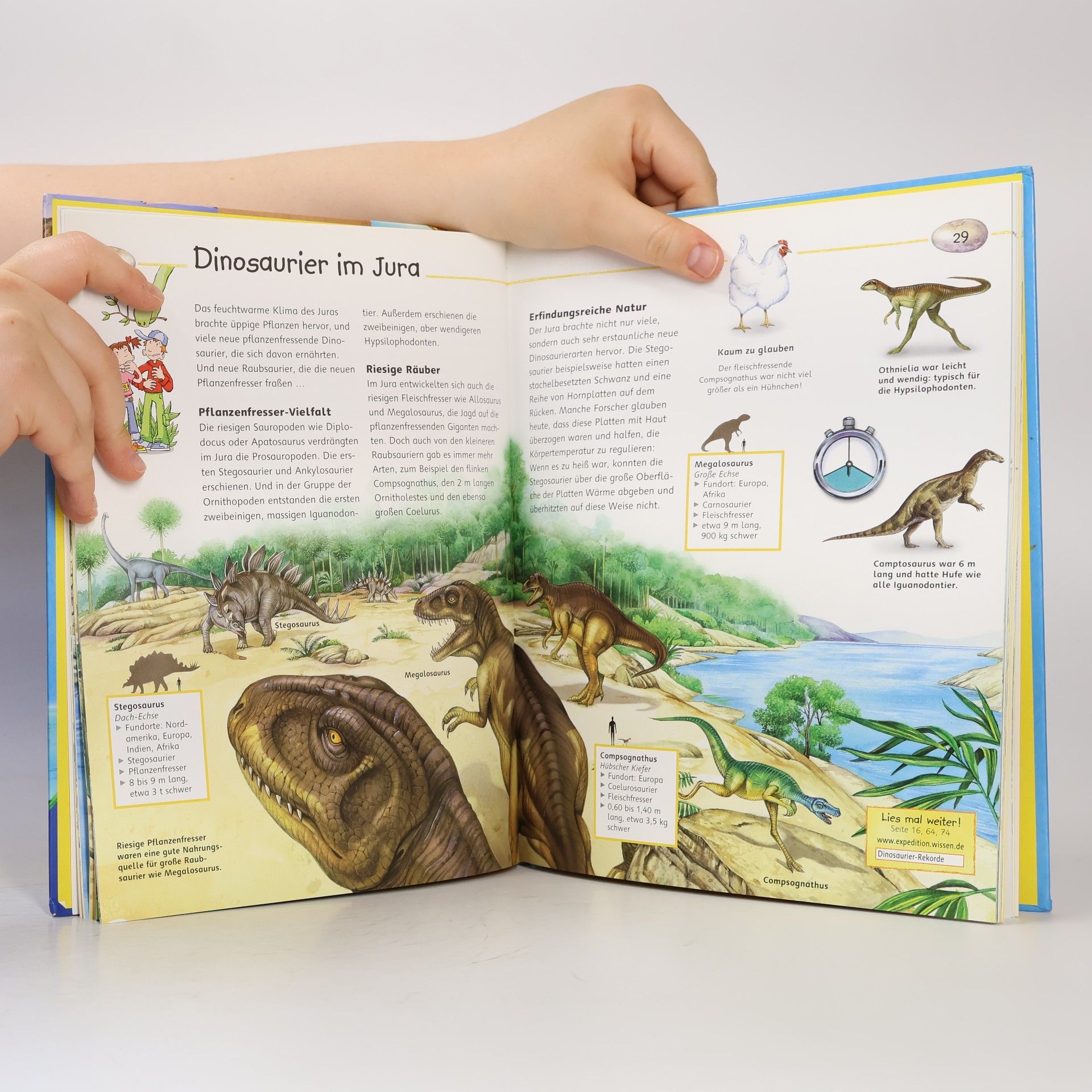 Kolektív autorov Expedition Wissen: Dinosaurier