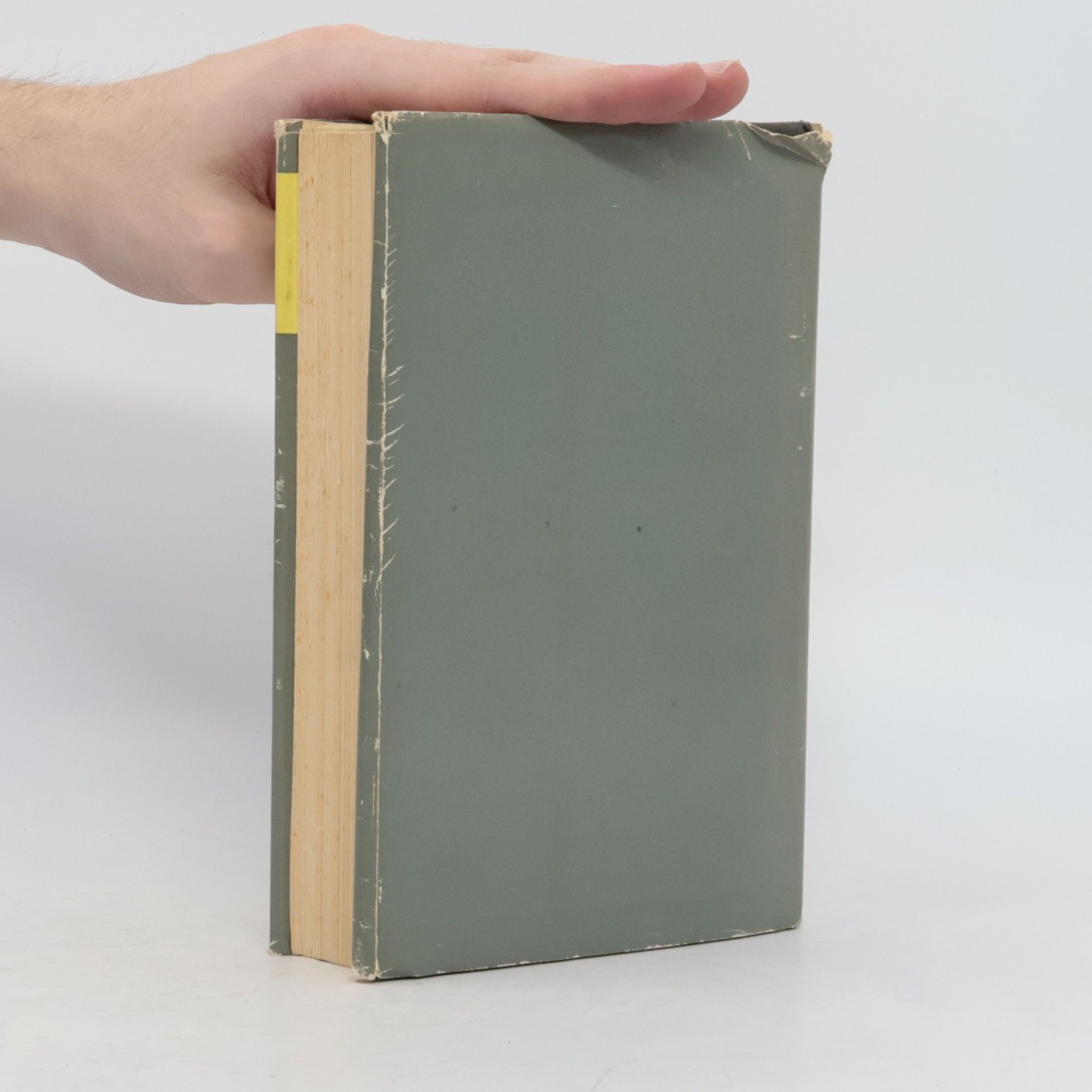 Erich Maria Remarque Im Westen nichts Neues